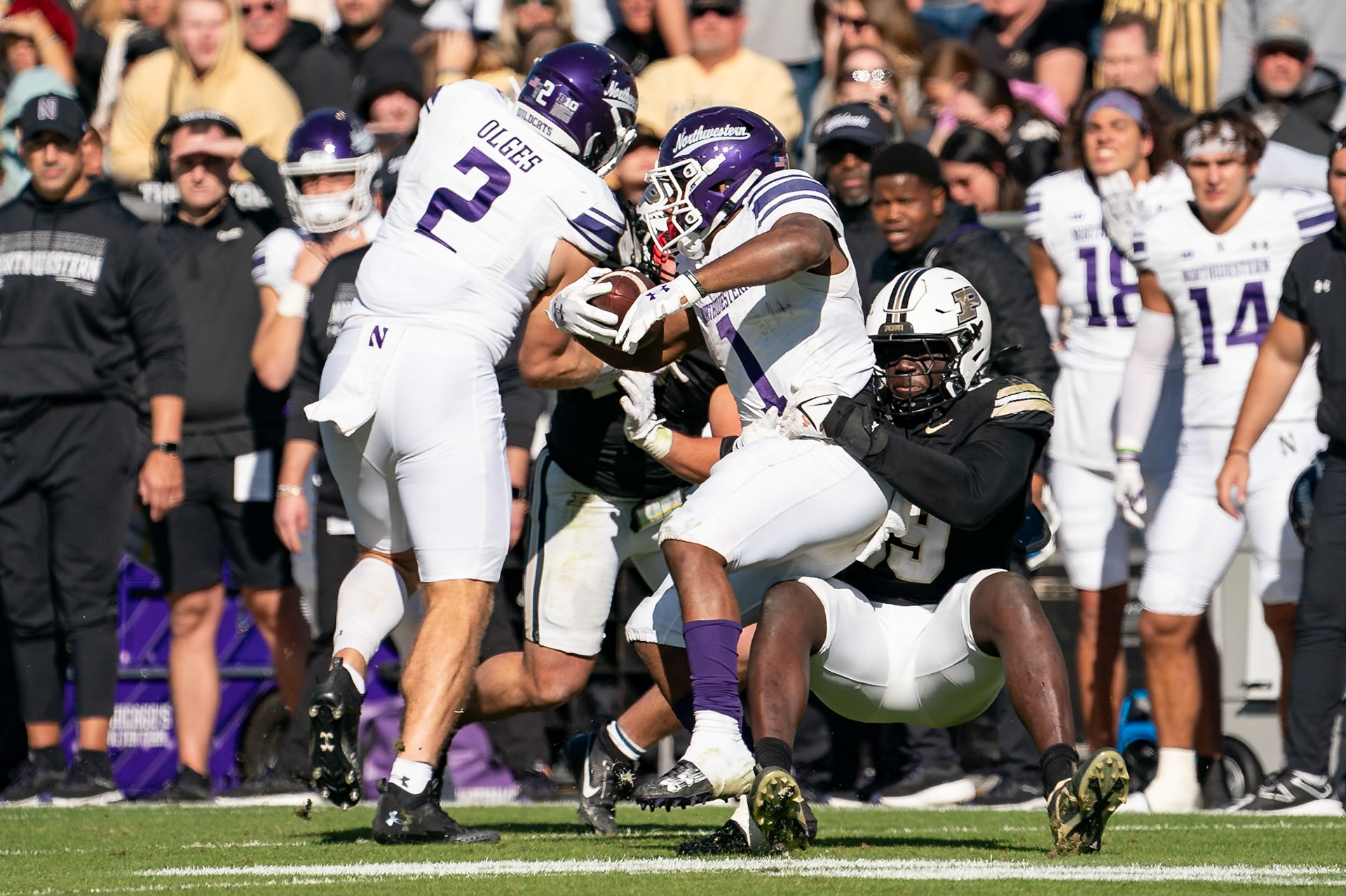 WEST LAFAYETTE, IN - NOVEMBER 2, 2024: Purdue University Senior Rush End Jireh Ojata (99) tackles Northwestern University Running Back Cam Porter (1) during the Purdue University Boilermakers vs Northwestern University Wildcats Football game at Ross-Ade Stadium(Photo by Steve Bowen / Bowen Arrow Photography / Northern Indiana Sports Report)