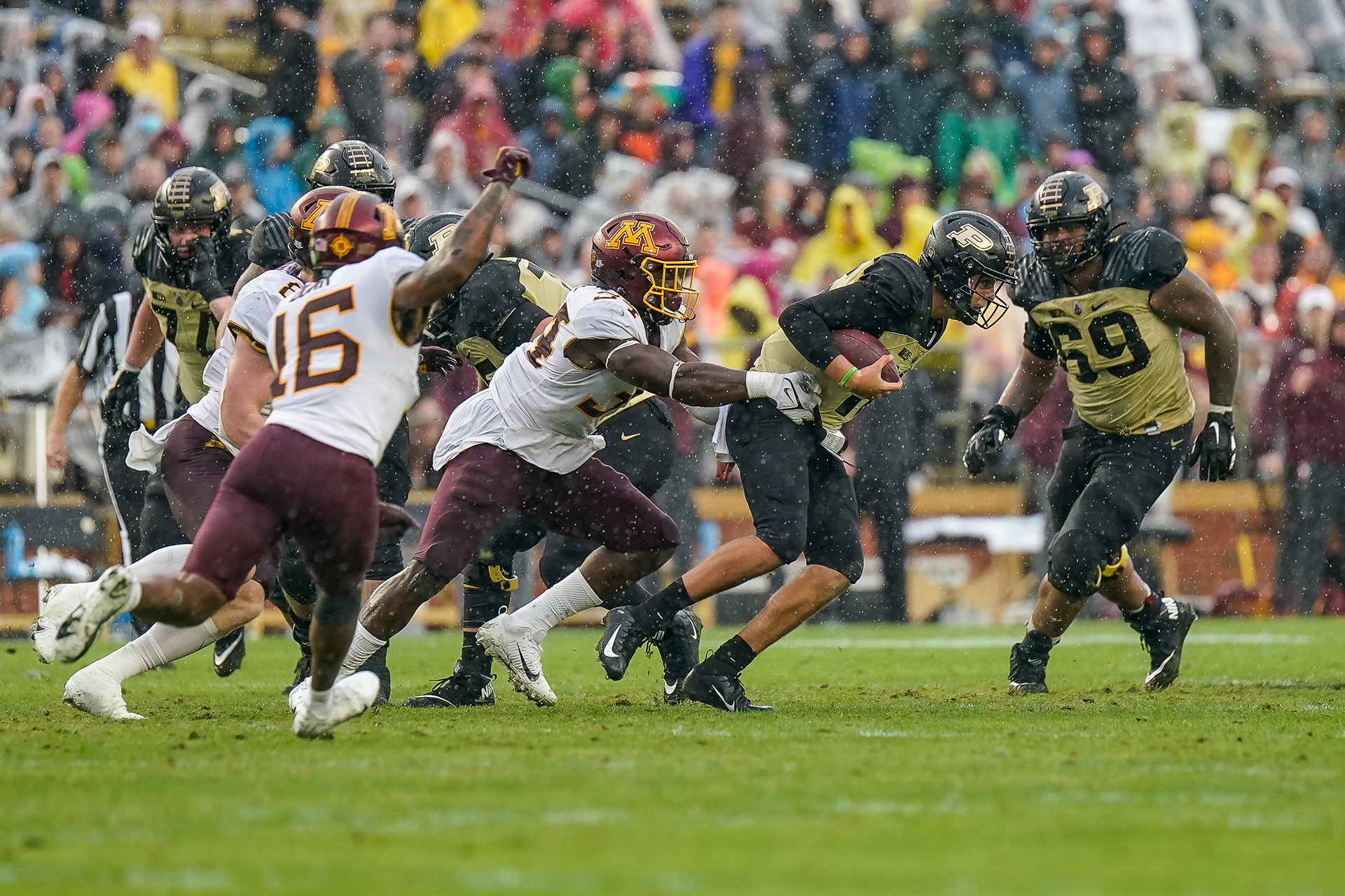 Purdue's Aiden O'Connell is sacked by the Gophers