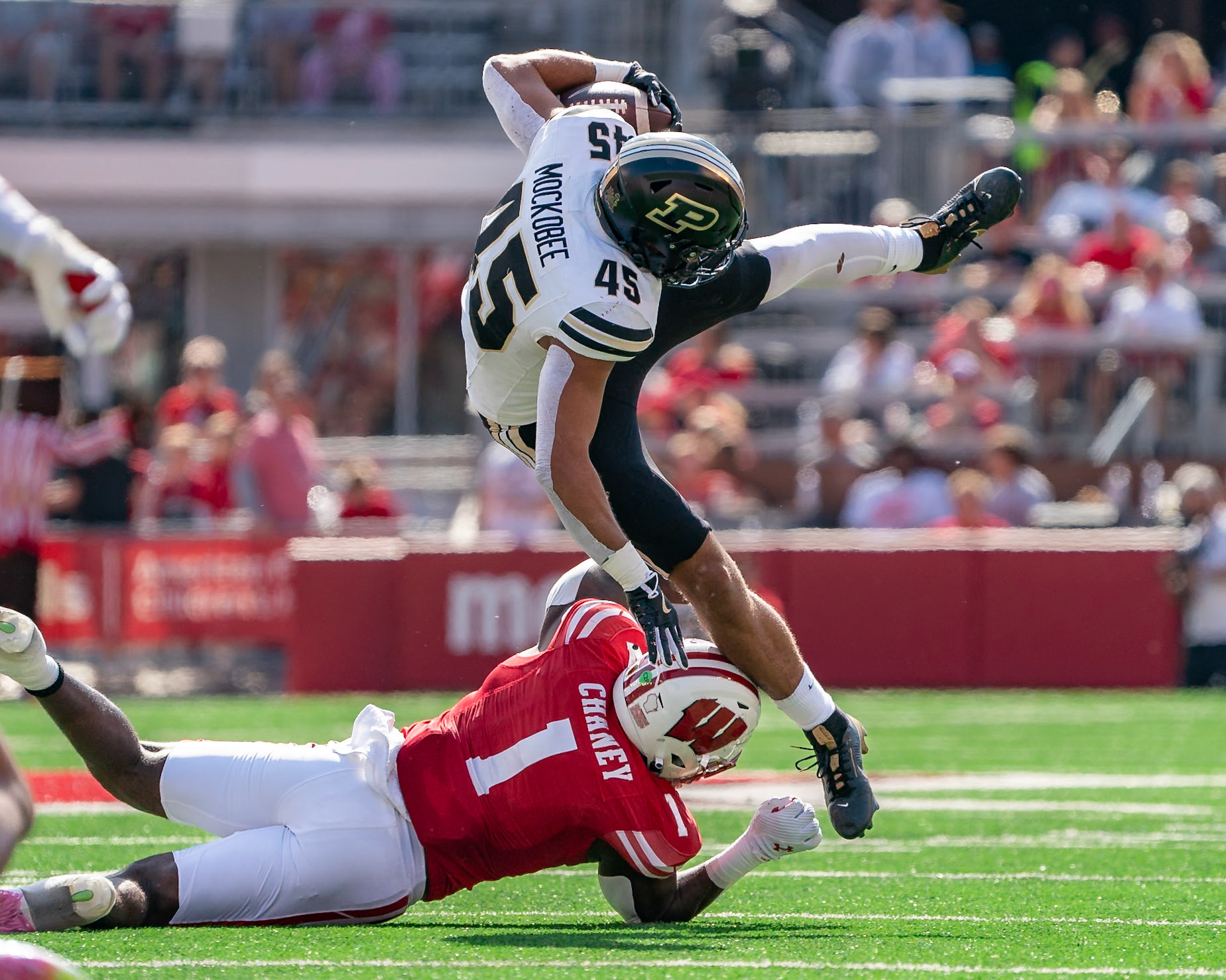 MADISON, WI - OCTOBER 5, 2024: Purdue University Junior Running Back Devin Mockobee (45) trying to jump over University of Wisconsin 6th Year RB Chez Mellusi (1) during the Purdue University Boilermakers at University of Wisconsin Badger Football game at Camp Randall Stadium(Photo by Steve Bowen / NISports Report)