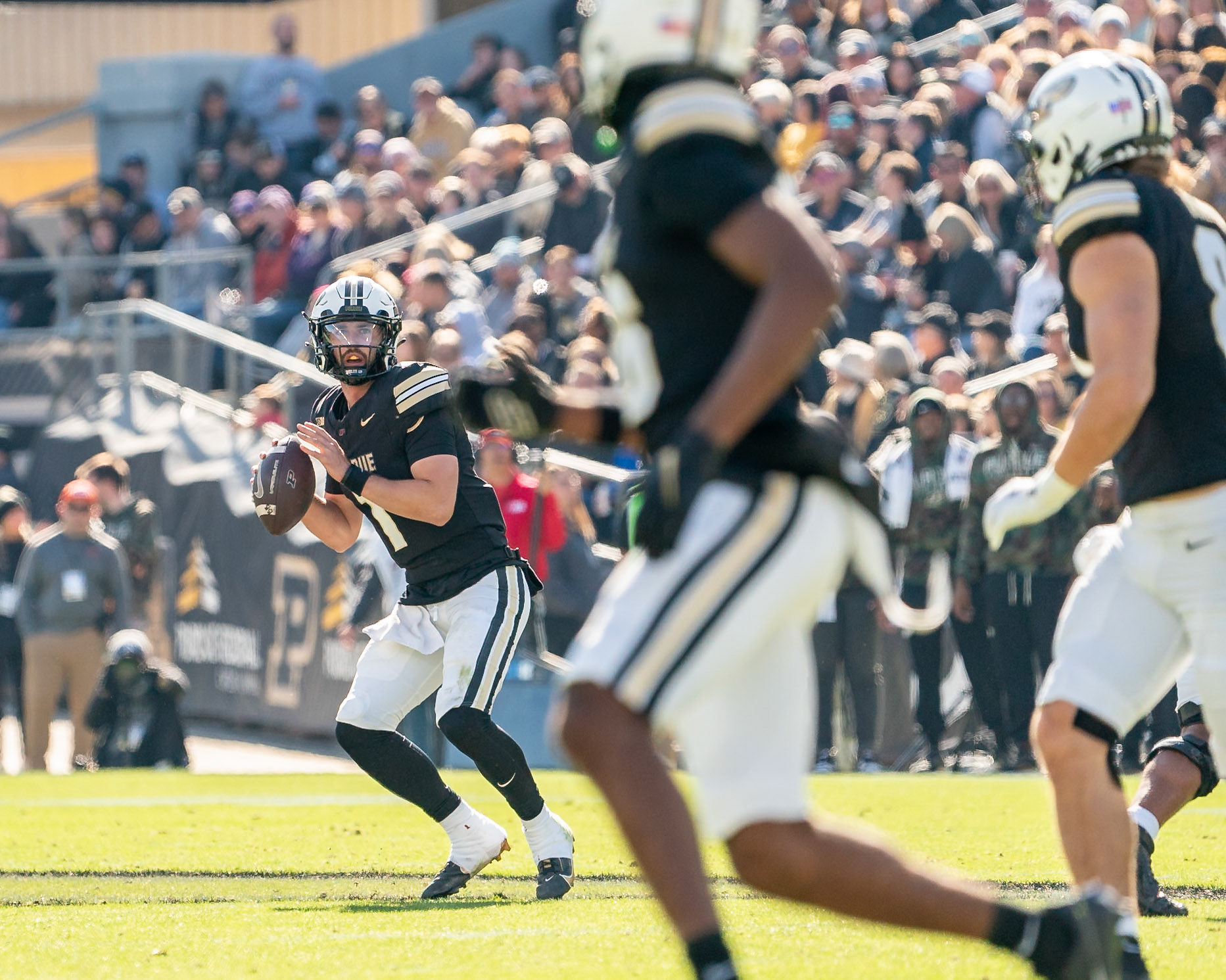 WEST LAFAYETTE, IN - NOVEMBER 2, 2024: Purdue University Senior Quaterback Hudson Card (1) during the Purdue University Boilermakers vs Northwestern University Wildcats Football game at Ross-Ade Stadium(Photo by Steve Bowen / Bowen Arrow Photography / Northern Indiana Sports Report)