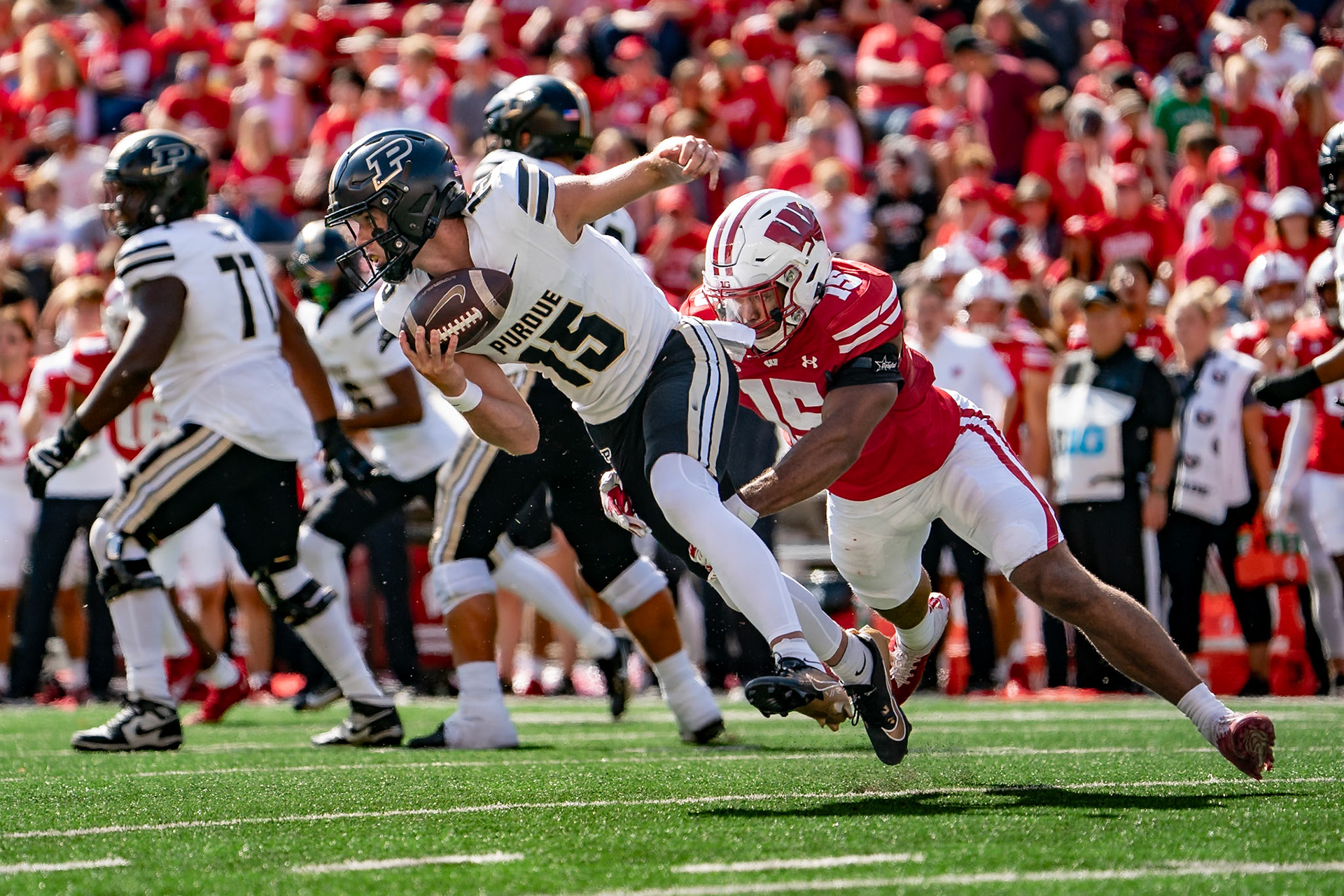 MADISON, WI - OCTOBER 5, 2024: Purdue University Redshirt Freshman Quaterback Ryan Browne (15), University of Wisconsin Redshirt Sophomore LB Sebastian Cheeks (15) during the Purdue University Boilermakers at University of Wisconsin Badger Football game at Camp Randall Stadium(Photo by Steve Bowen / NISports Report)