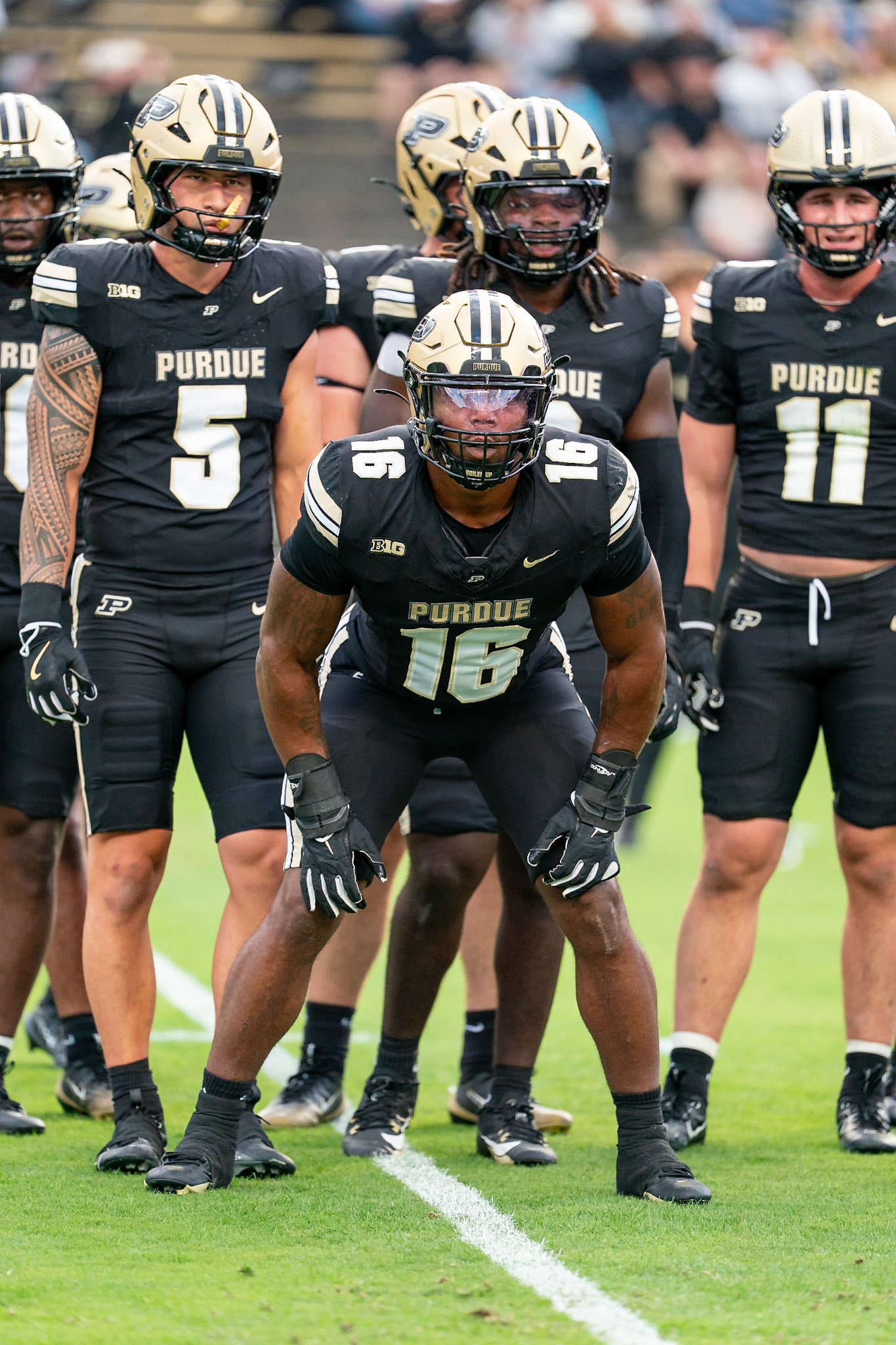 WEST LAFAYETTE, IN - SEPTEMBER 6, 2025: Purdue University Senior Linebacker Mani Powell (16), Purdue University Sophomore Linebacker Charles Correa (5) and Purdue University Sophomore Linebacker Carson Dean (11) at pregame warmups of the Purdue Boilermaker Football vs Southern Illinois Saluki Football at Ross-Ade Stadium(Photo by Steve Bowen / Northern Indiana Sports Report)