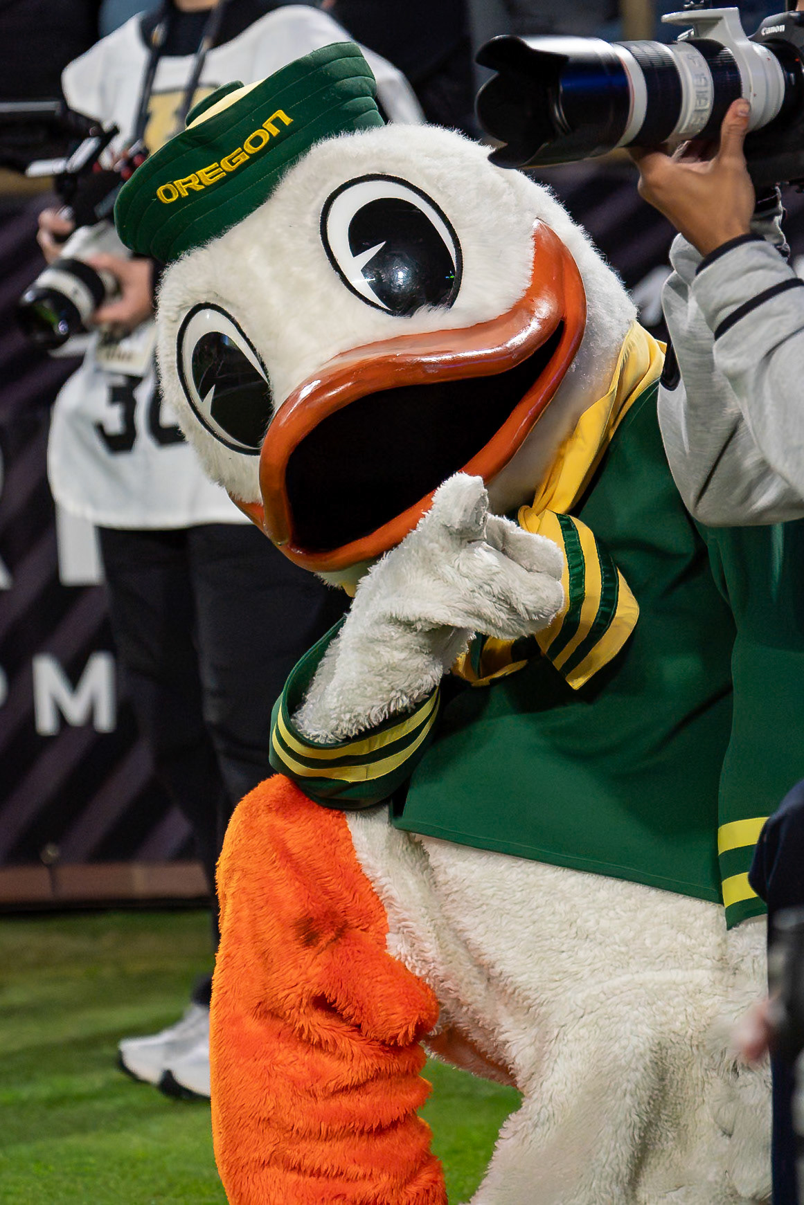 WEST LAFAYETTE, IN - OCTOBER 18, 2024: University of Oregon Mascot The Duck during the Purdue University Boilermakers vs University of Oregon Ducks Football game at Ross-Ade Stadium(Photo by Steve Bowen / Bowen Arrow Photography / Northern Indiana Sports Report)