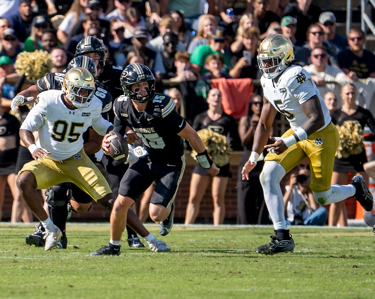 WEST LAFAYETTE, IN - SEPTEMBER 26, 2026: Purdue University Quarterback Ryan Browne (15), Notre Dame University Senior DL Boubacar Traore (5) during the Purdue Boilermakers vs Notre Dame Fighting Irish football game at Ross-Ade Stadium(Photo by Steve Bowen / Northern Indiana Sports Report)