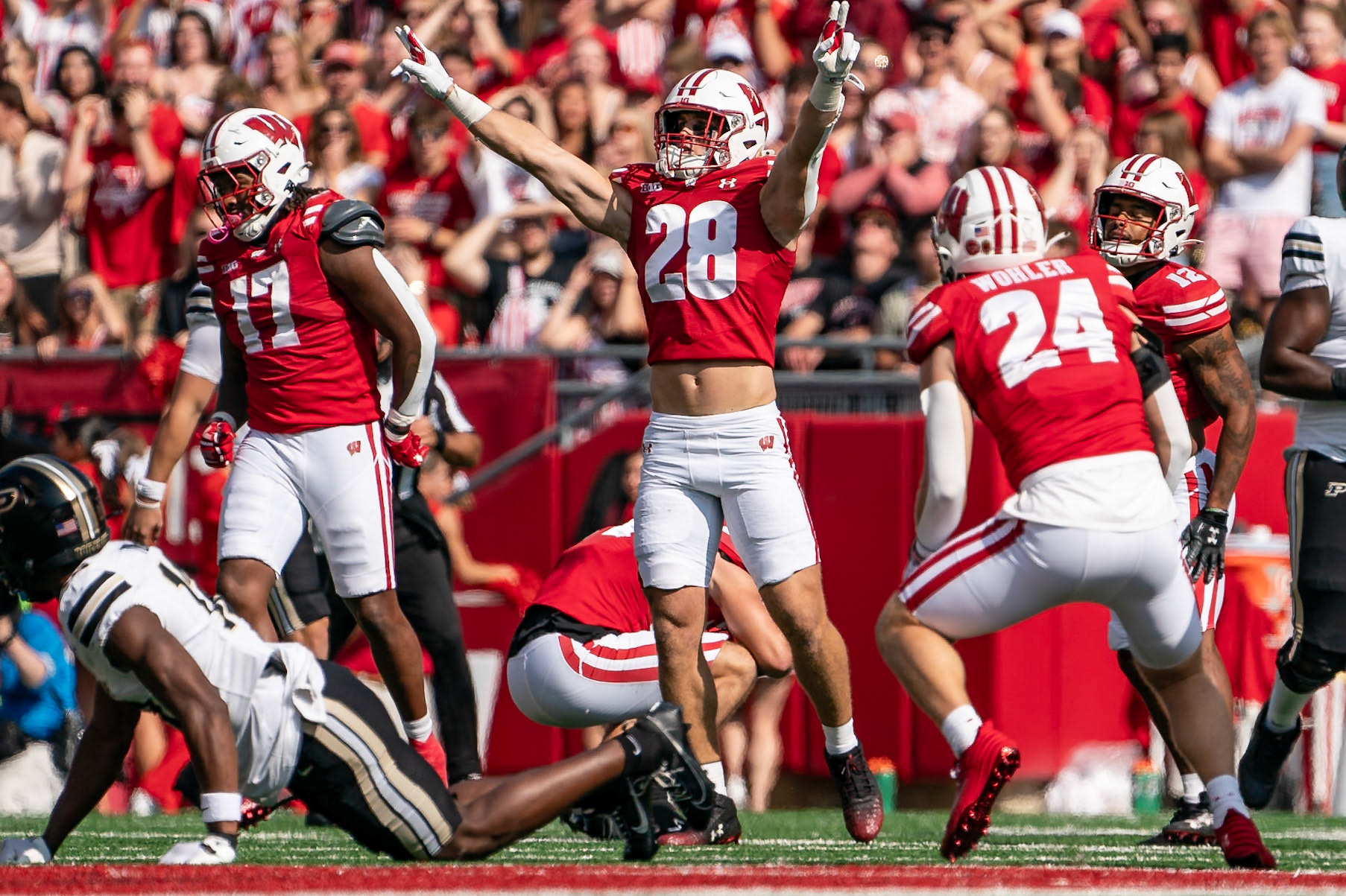 MADISON, WI - OCTOBER 5, 2024: University of Wisconsin Sophomore LB Christian Alliegro (28) celebrating a stop during the Purdue University Boilermakers at University of Wisconsin Badger Football game at Camp Randall Stadium(Photo by Steve Bowen / NISports Report)