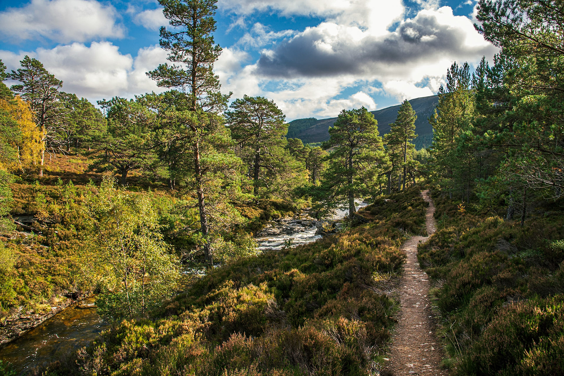 Braemar