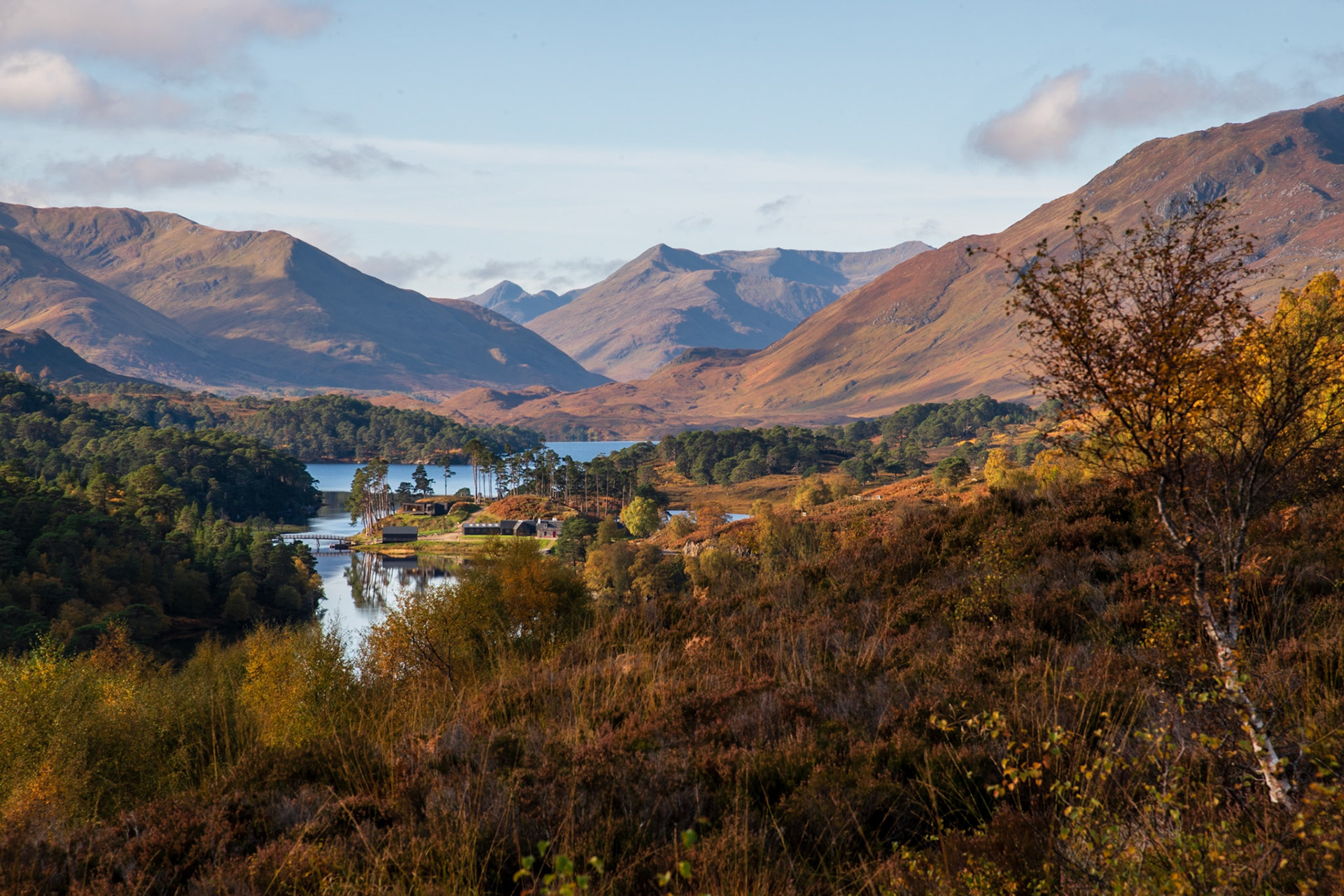 Glen Affric