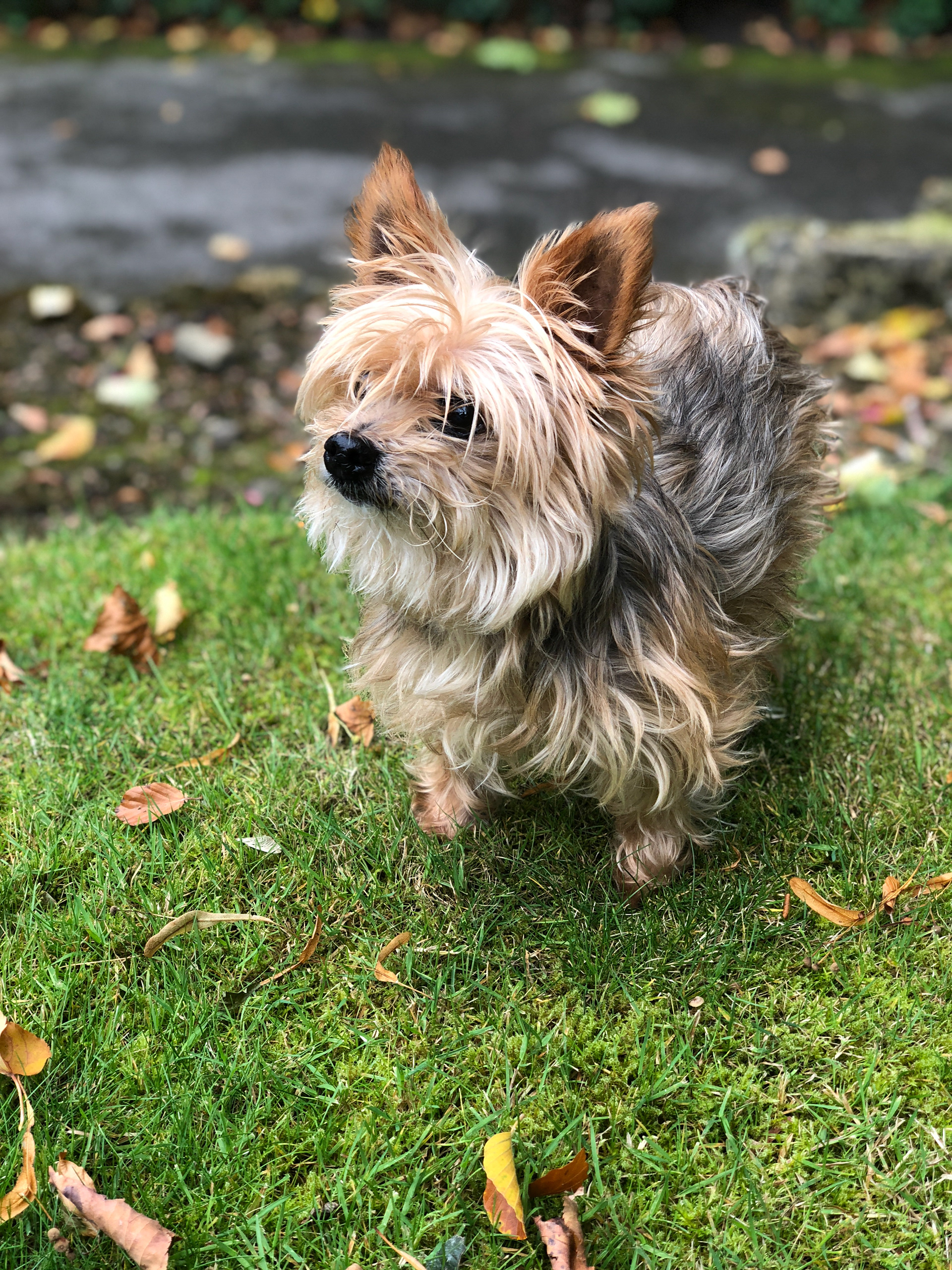 Lucy