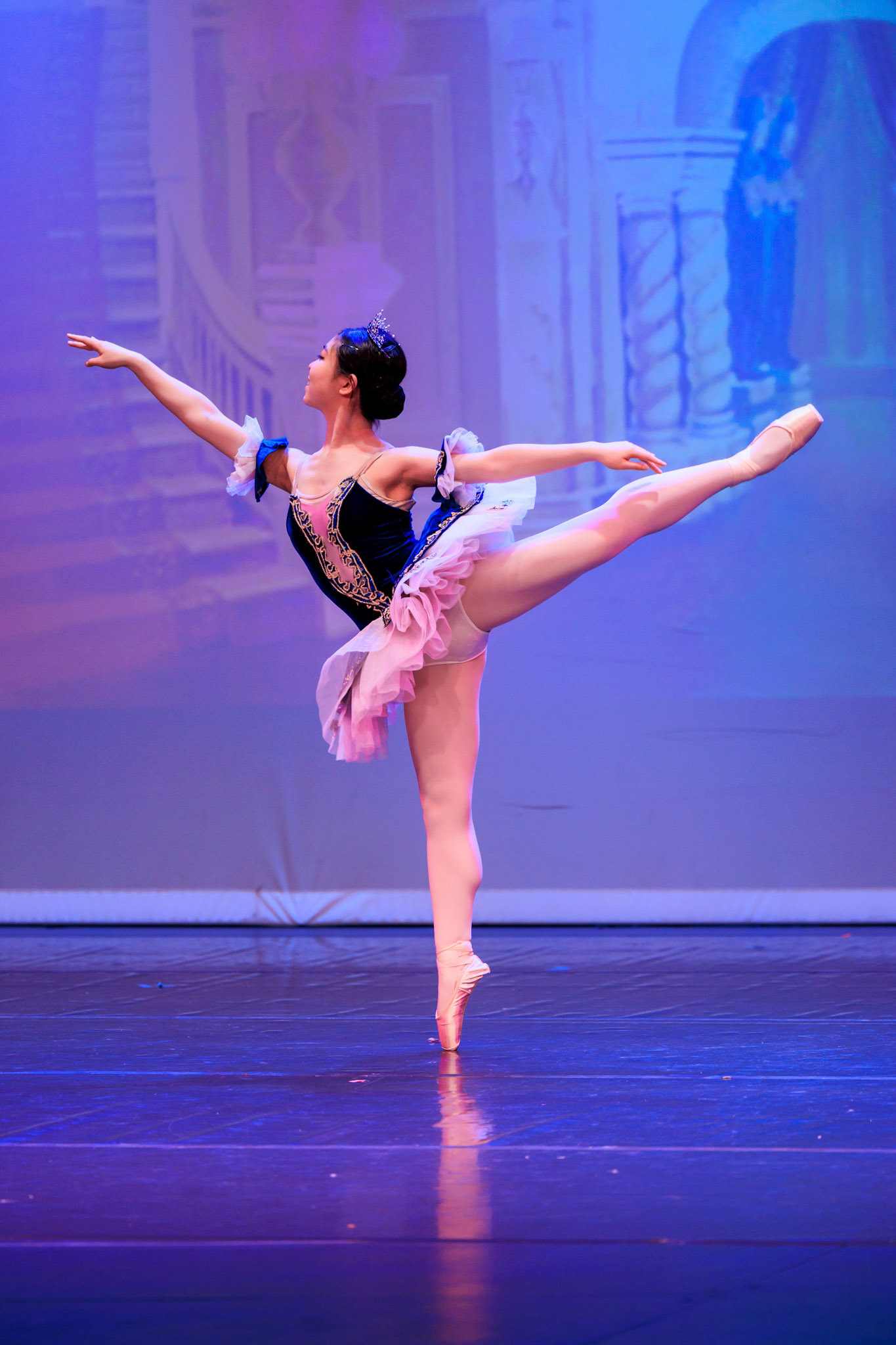 The Cardinal Ballet Company performs The Sleeping Beauty