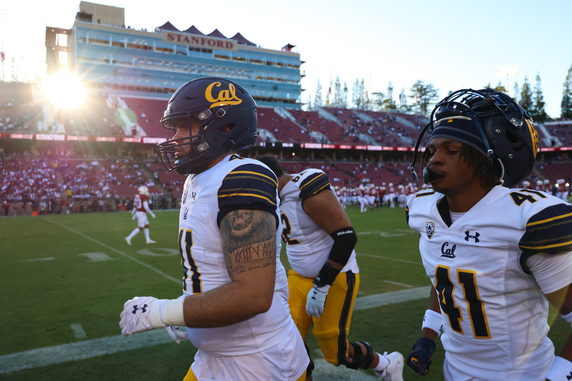Golden Bears (for Stanford Daily)