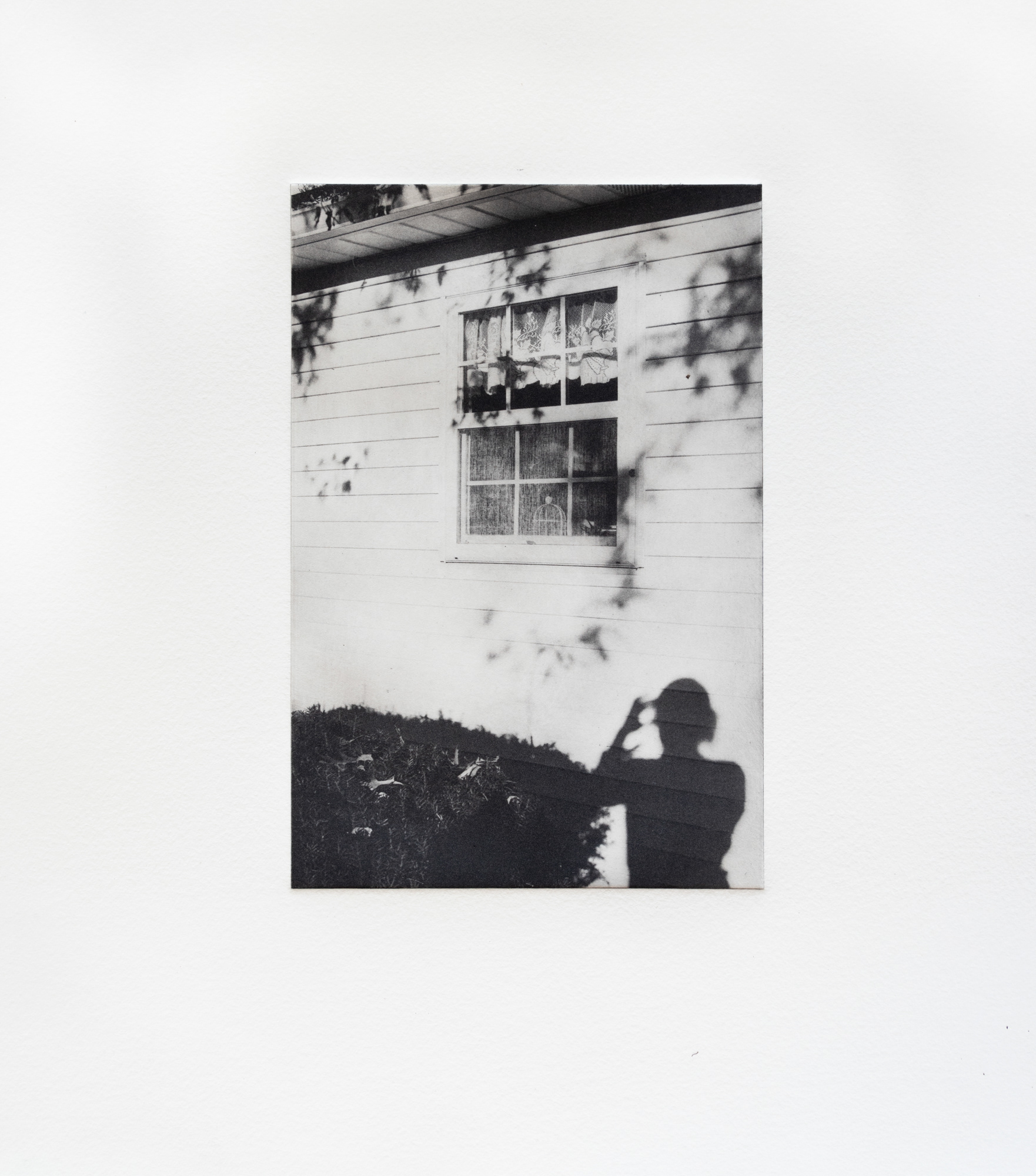Shadow Self, photopolymer print on Hahnemühle paper, image 8" W x 5.25" H
