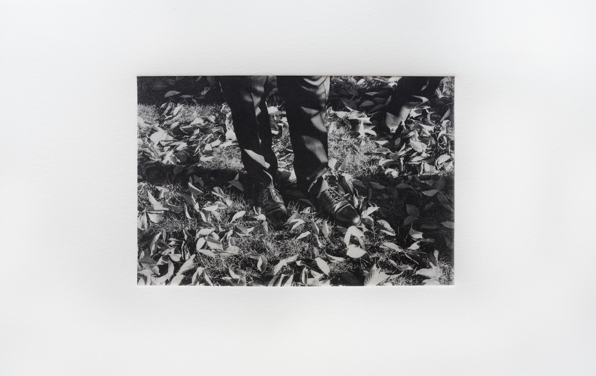 Black, photopolymer print on Hahnemühle paper, image 8" W x 5.25" H
