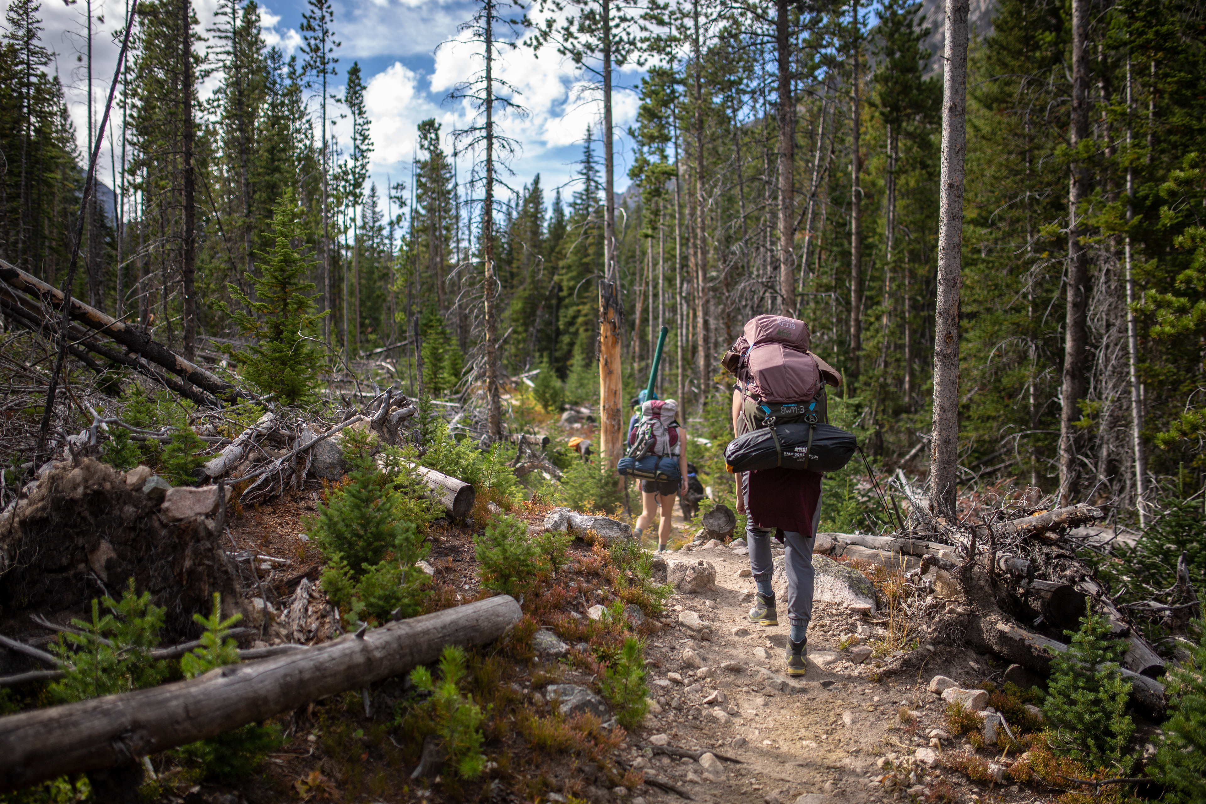 Beartooth Mountains, Montana