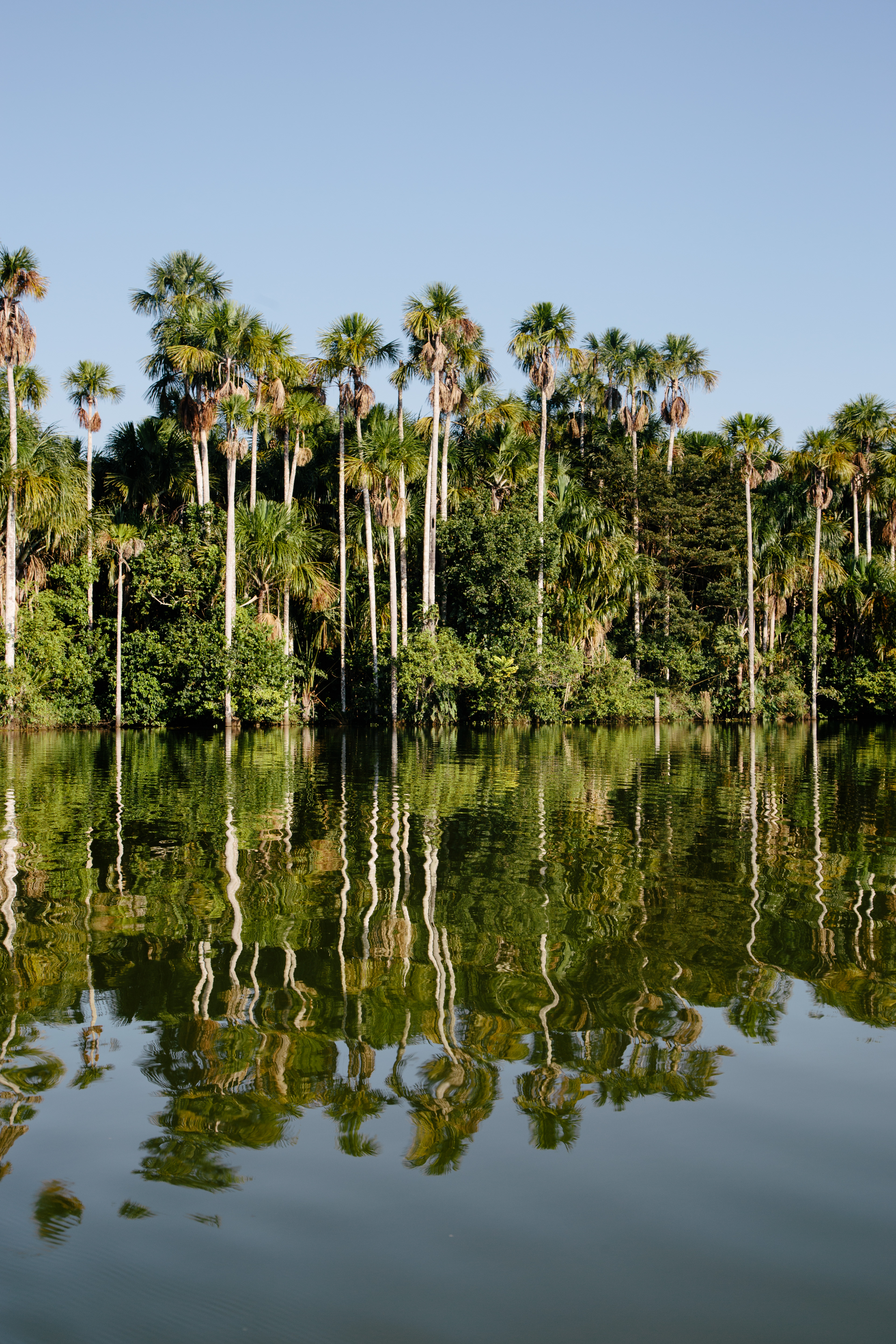 Amazon of Peru