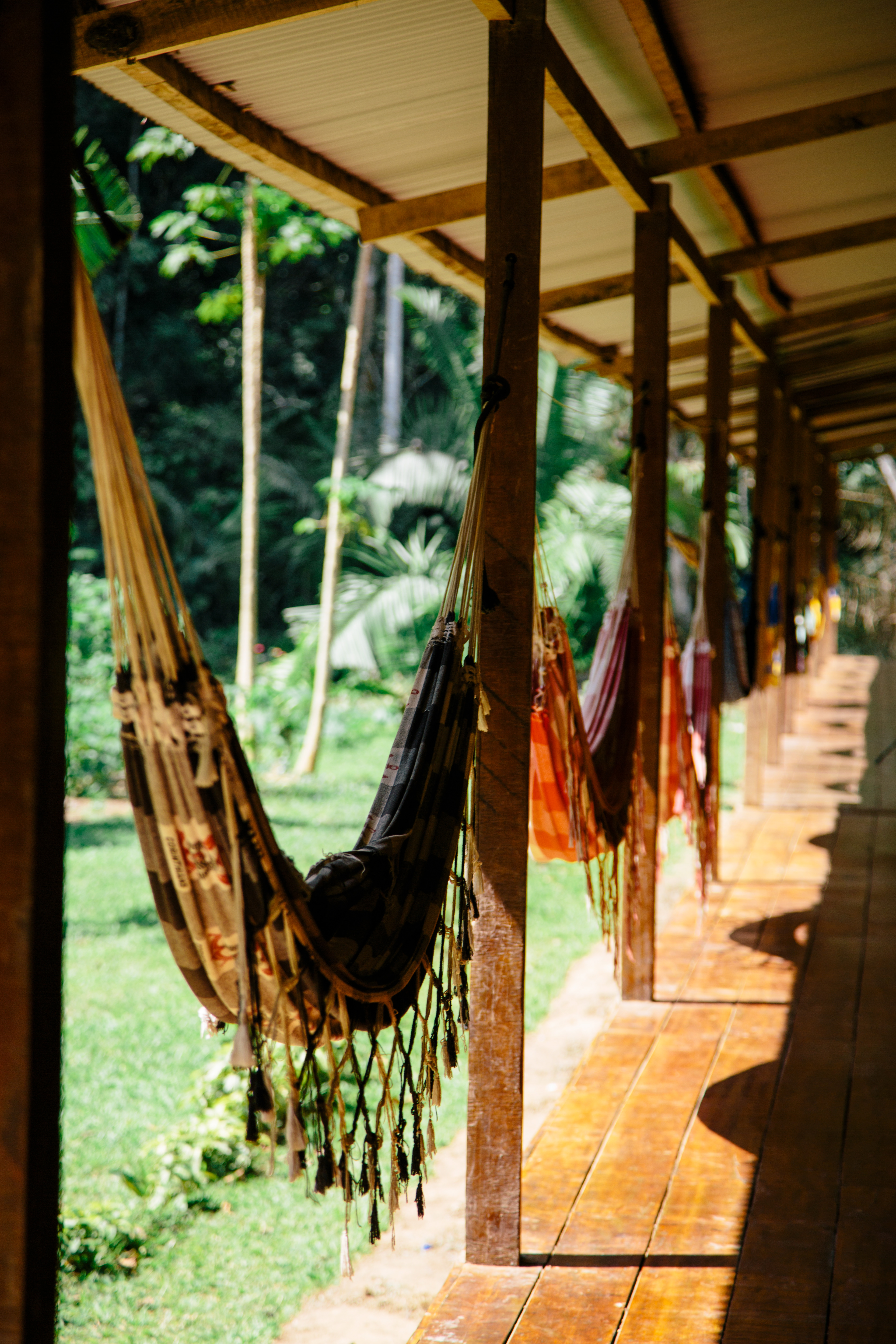 Amazon of Peru