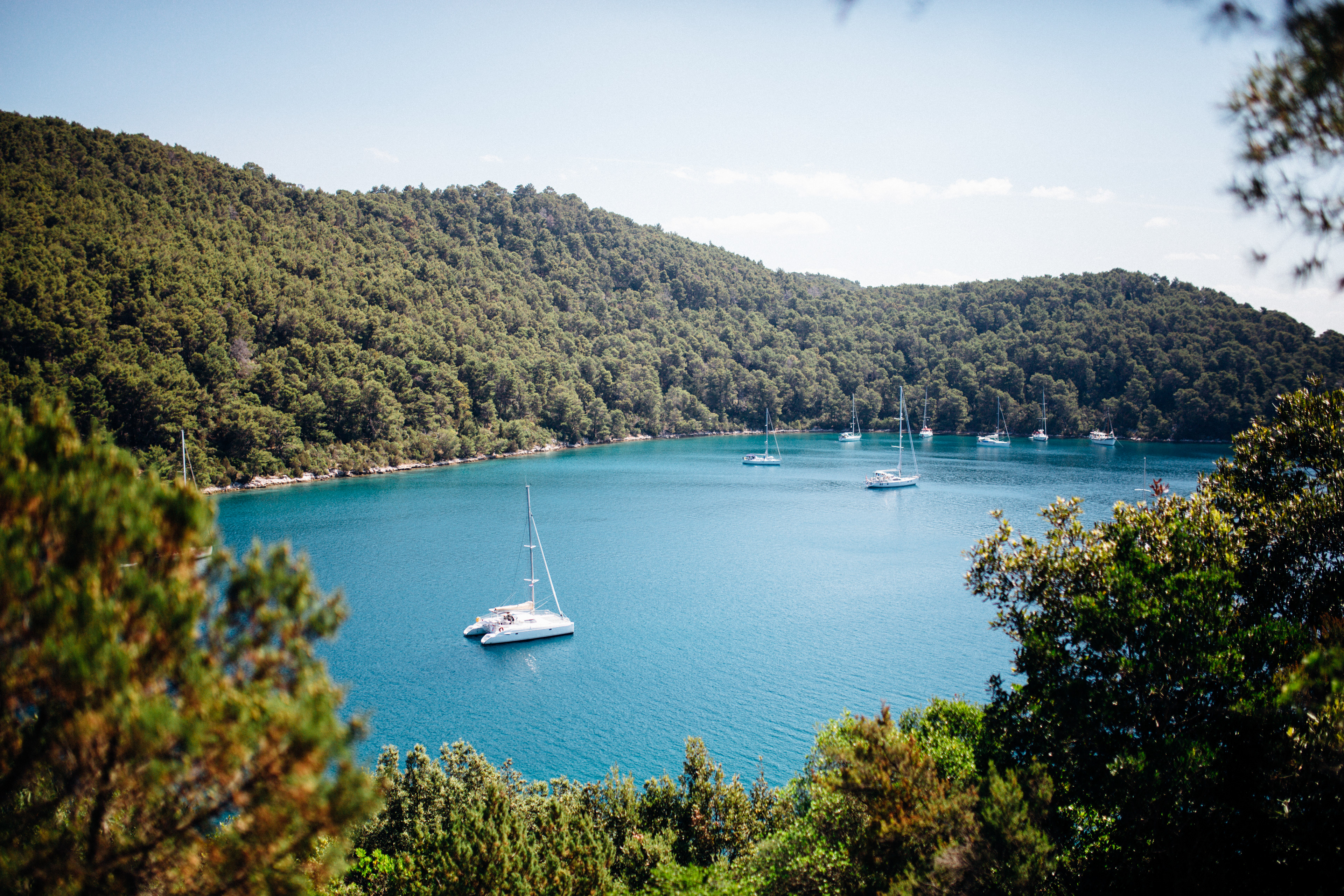 Mljet