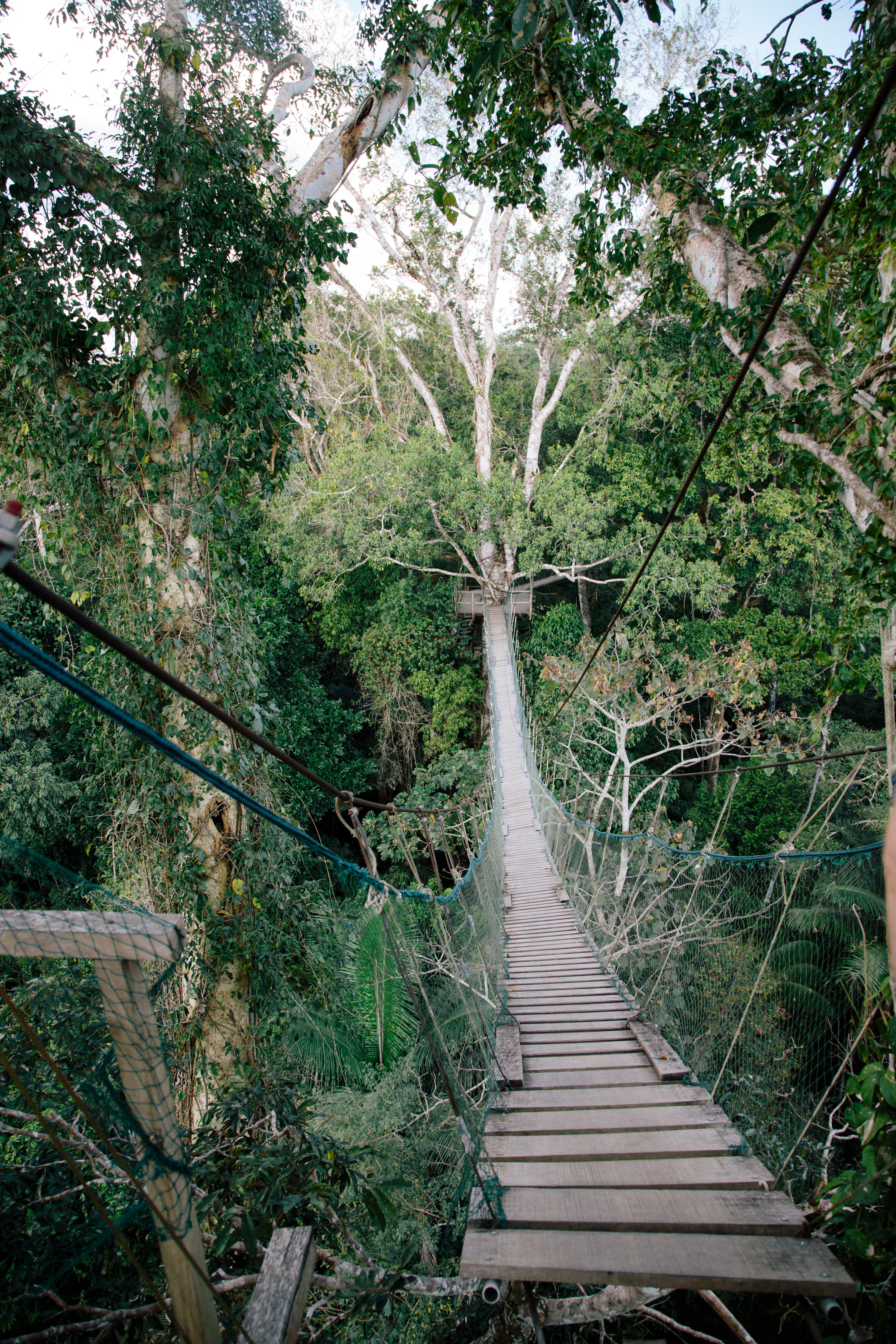 Amazon of Peru