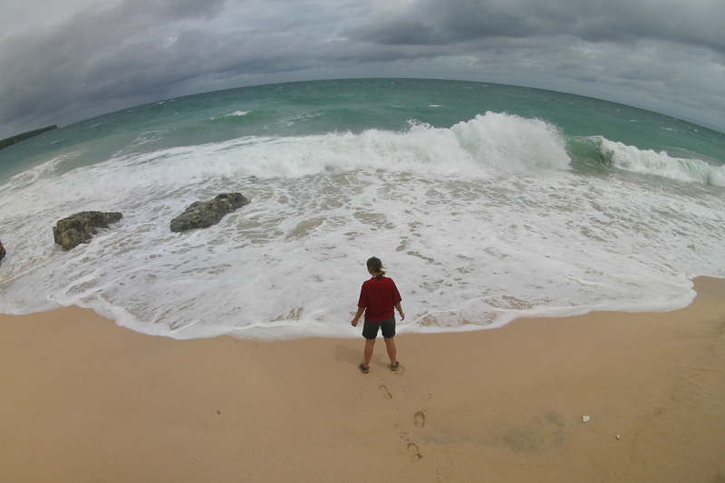 The Indian Ocean