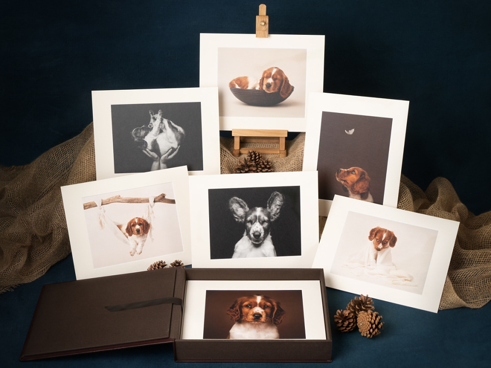 Selection of images