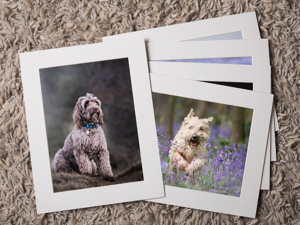 Matted prints