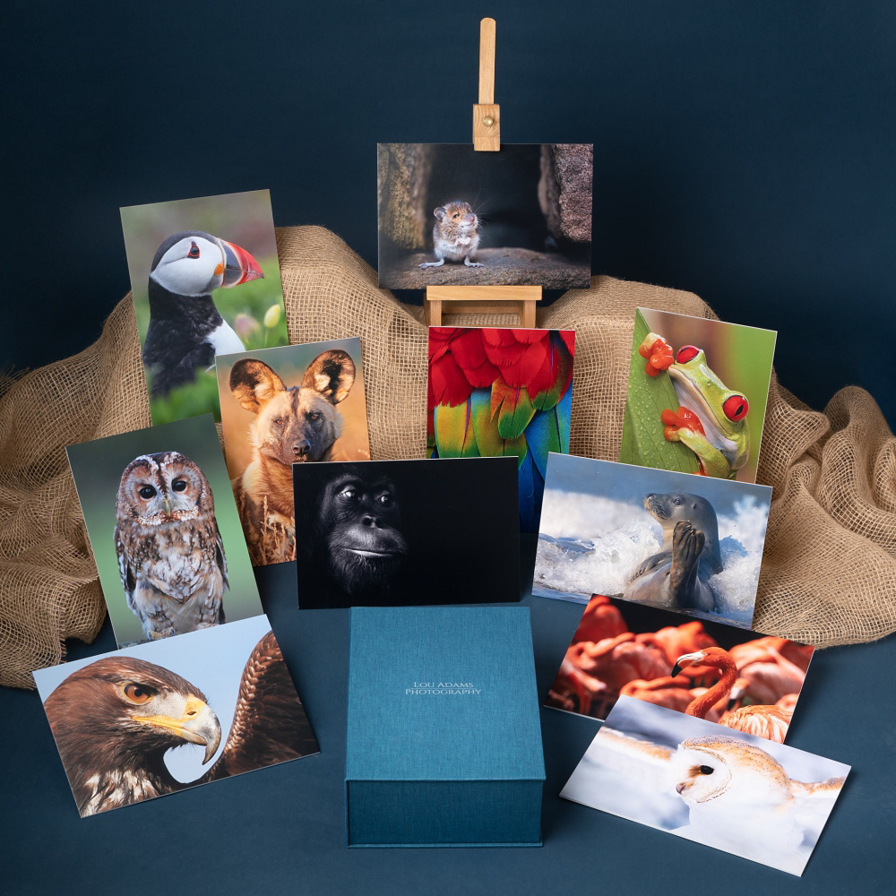 Beautiful foam mounted prints