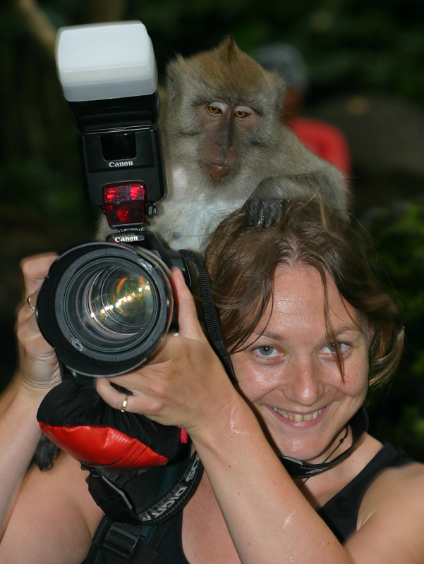 In Monkey Forest, Bali