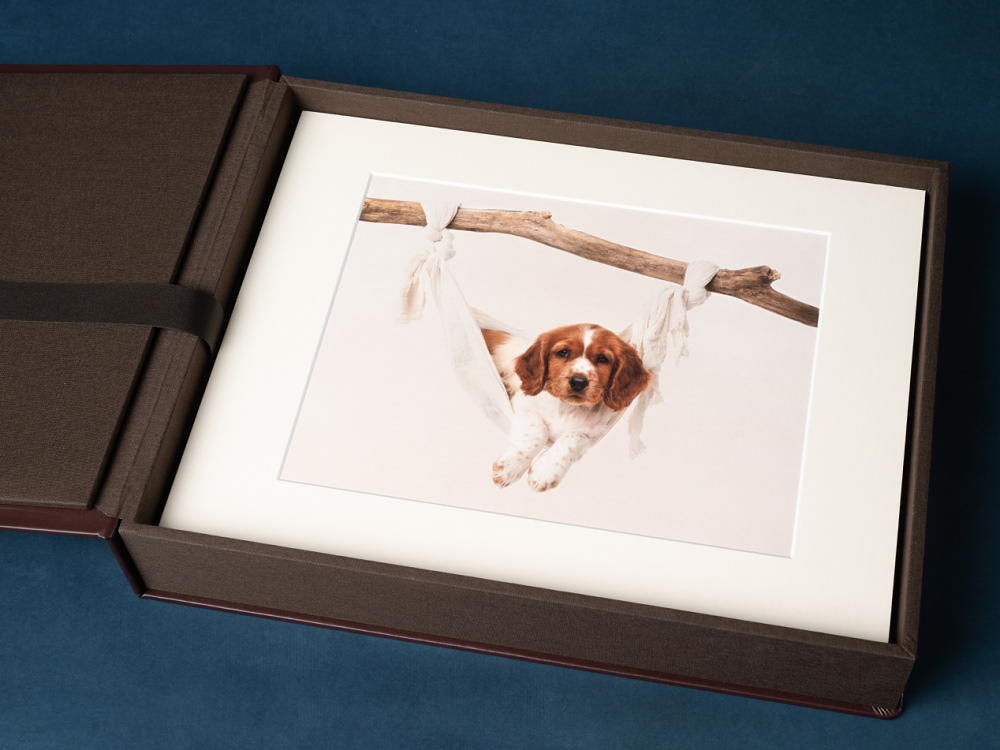 Beautifully mounted prints
