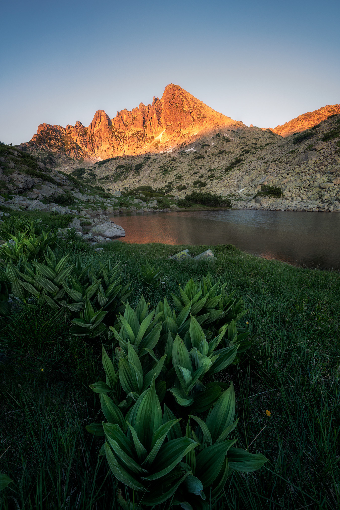 връх Джангал - Пирин