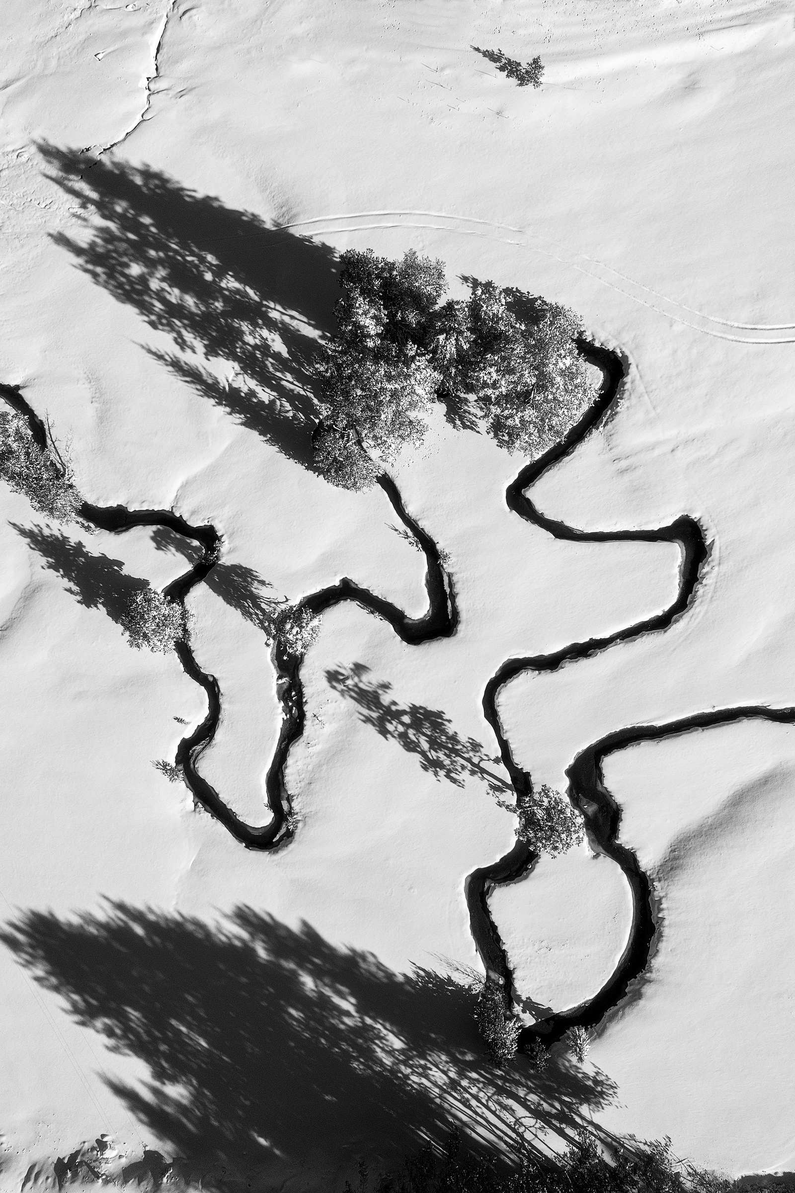 Меандрите на река Рибна