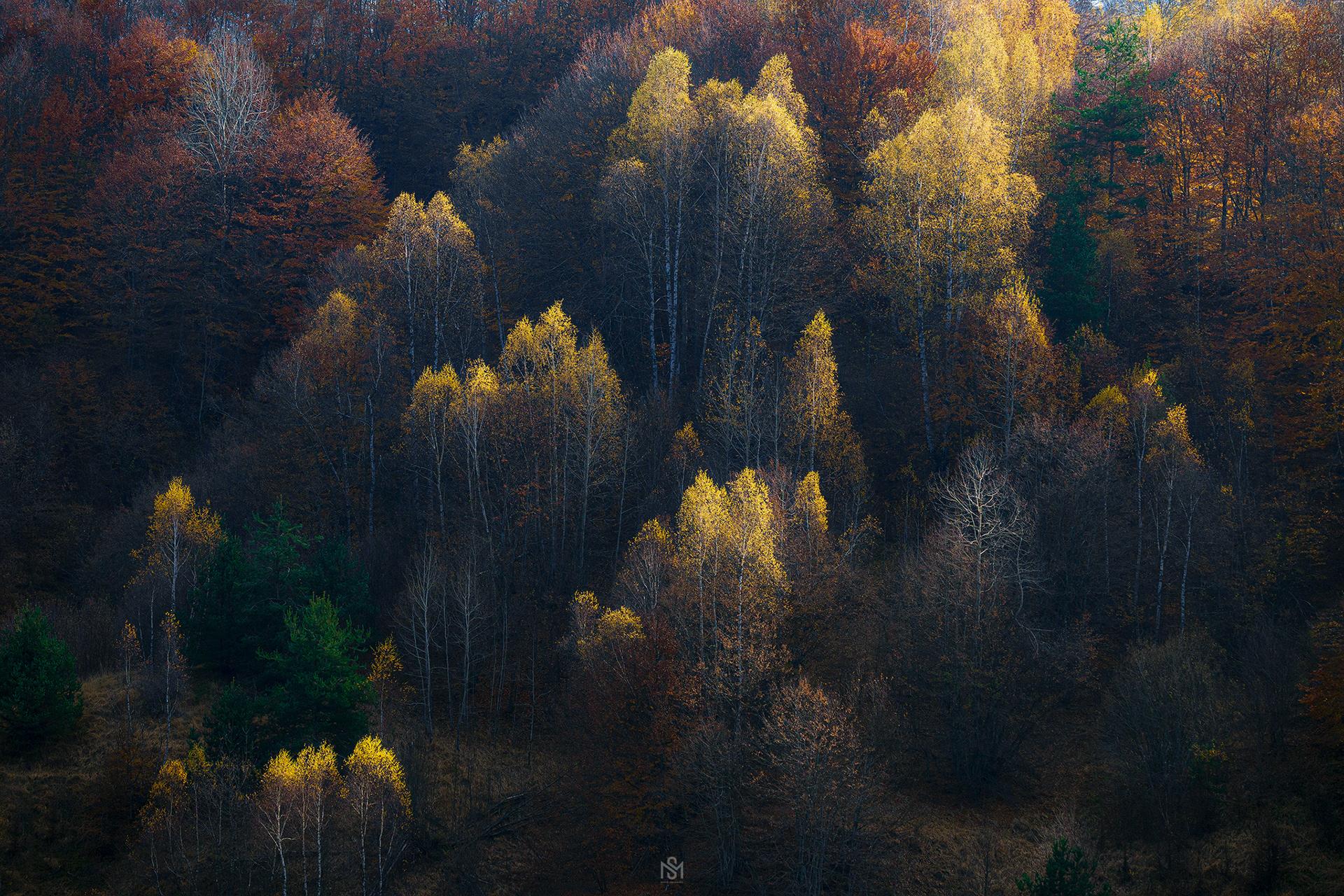 с. Горна Арда