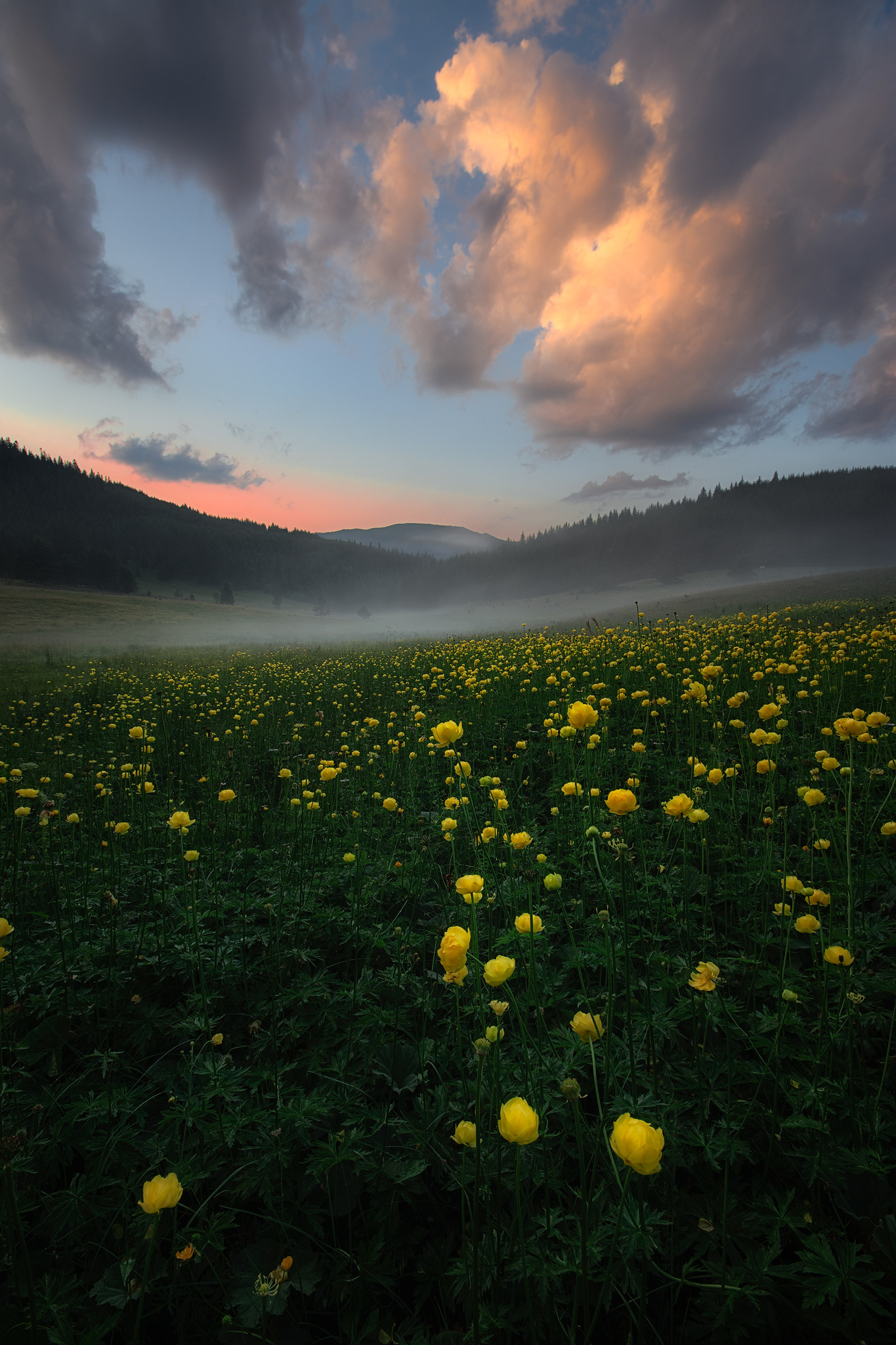 Поляните край Юндола