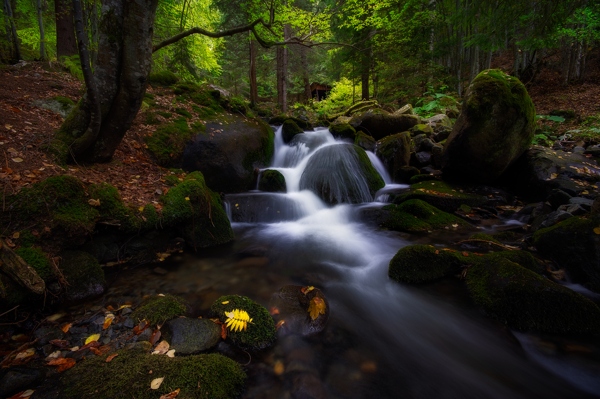 Бистришка река