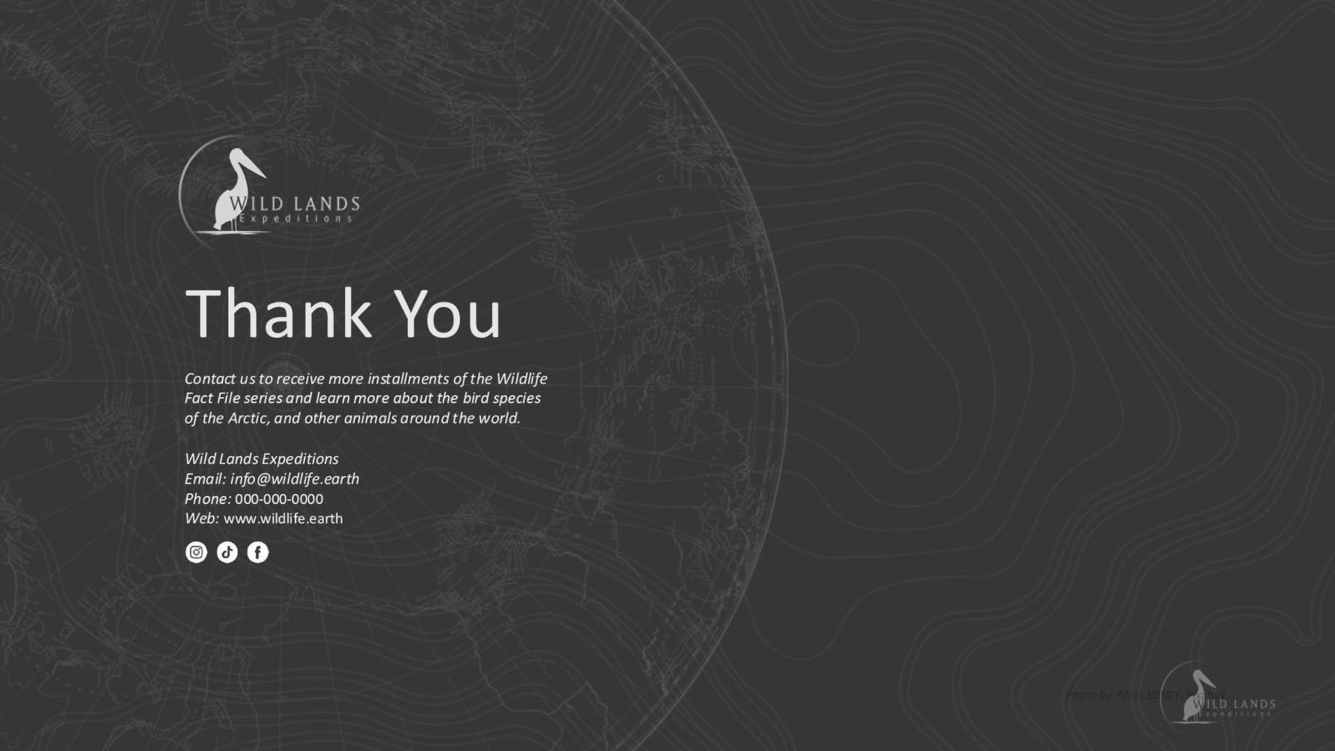 End/Thank You slide