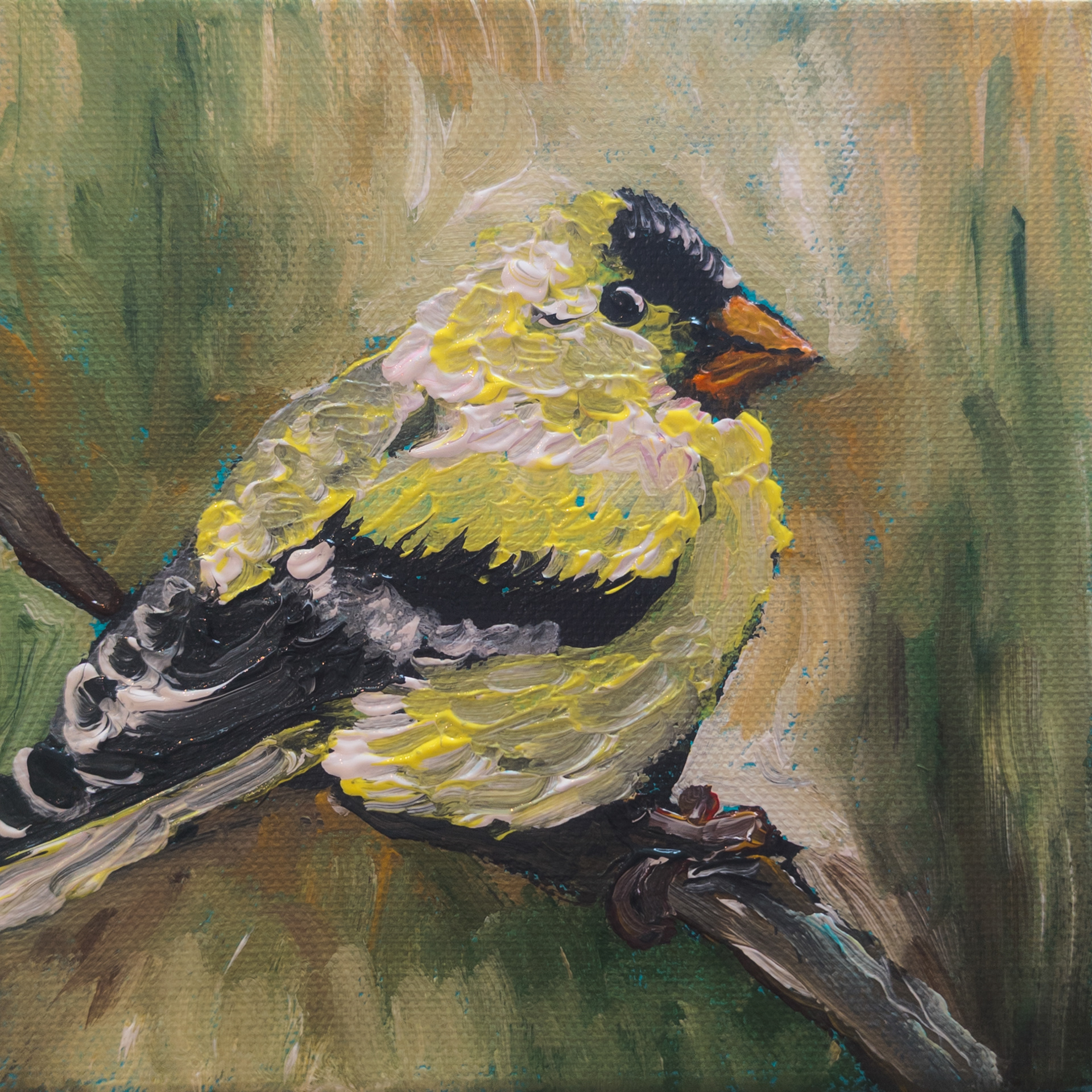 Chirp Chirp 02