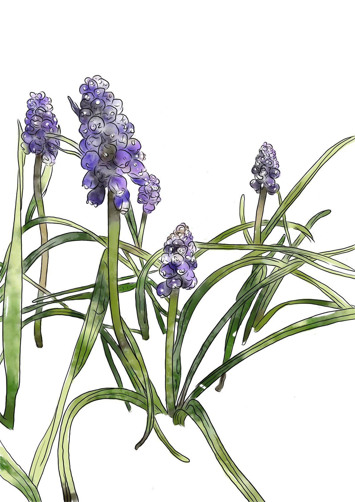 Spring Flower 15
