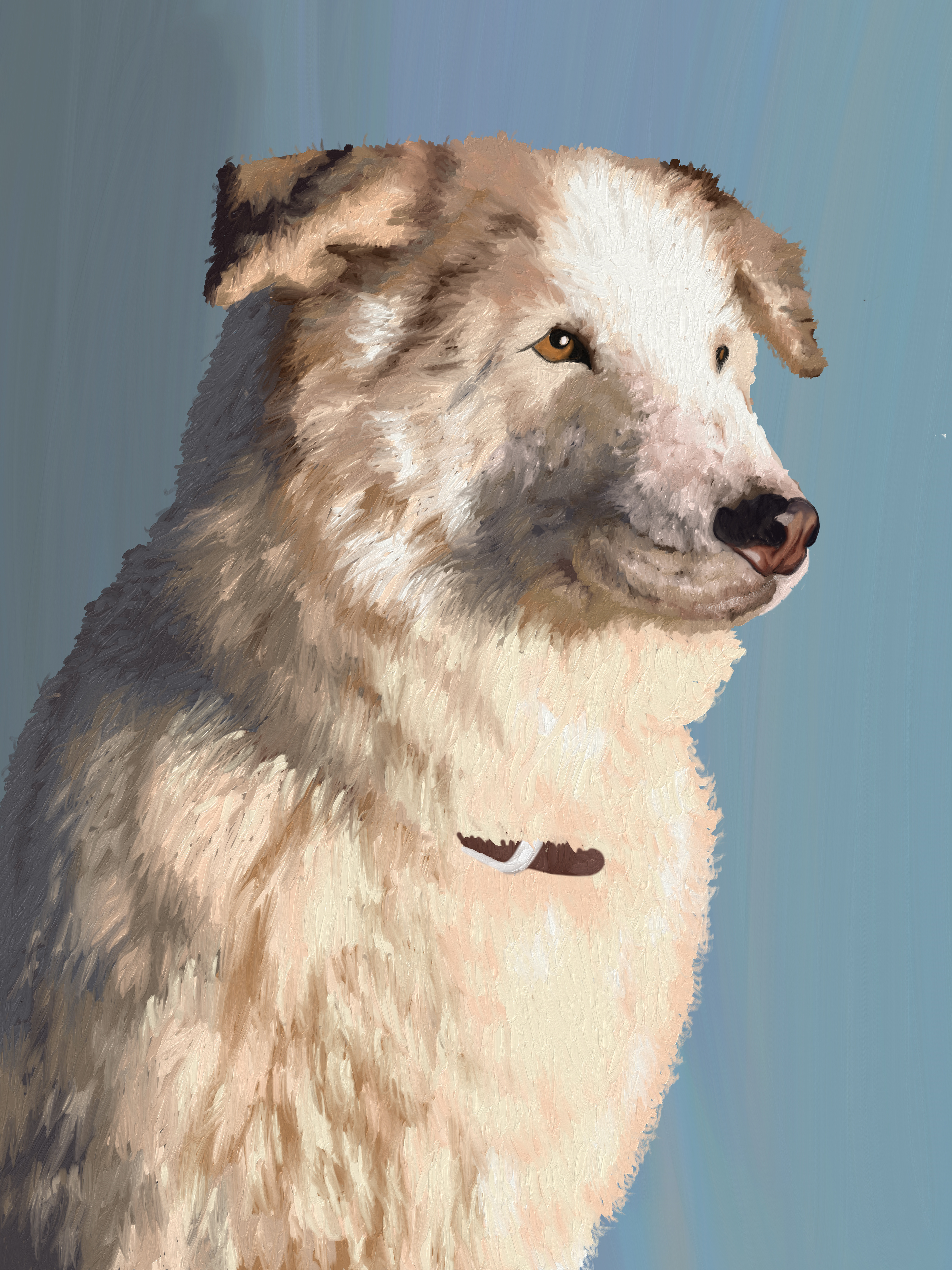 For Suki