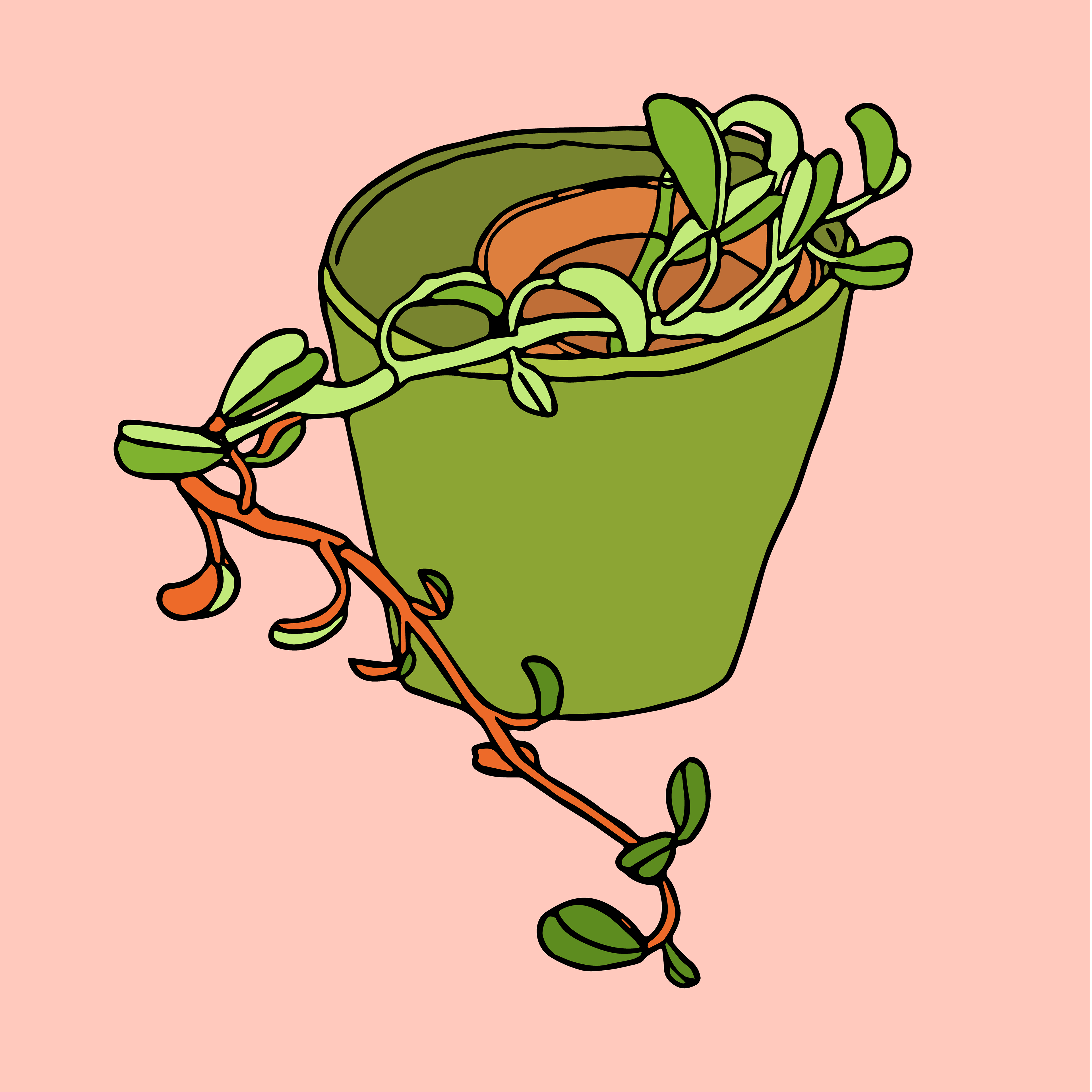 Day 10/14: succulent