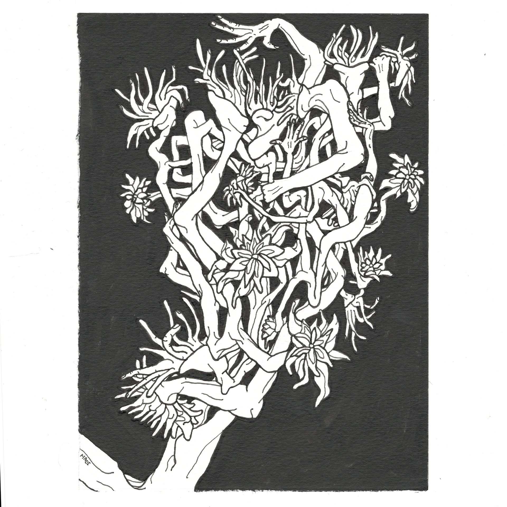 Day 25: Prickly + Dark Forest = "hold you tight", probably forever. (sold)