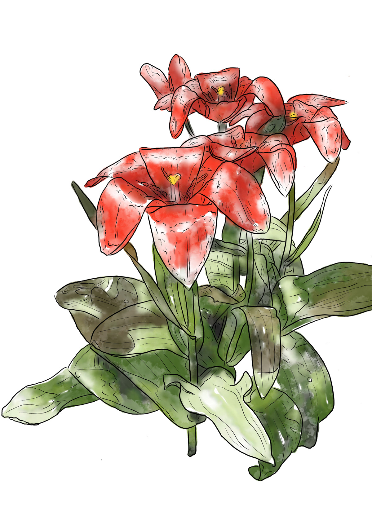 Spring Flower 19