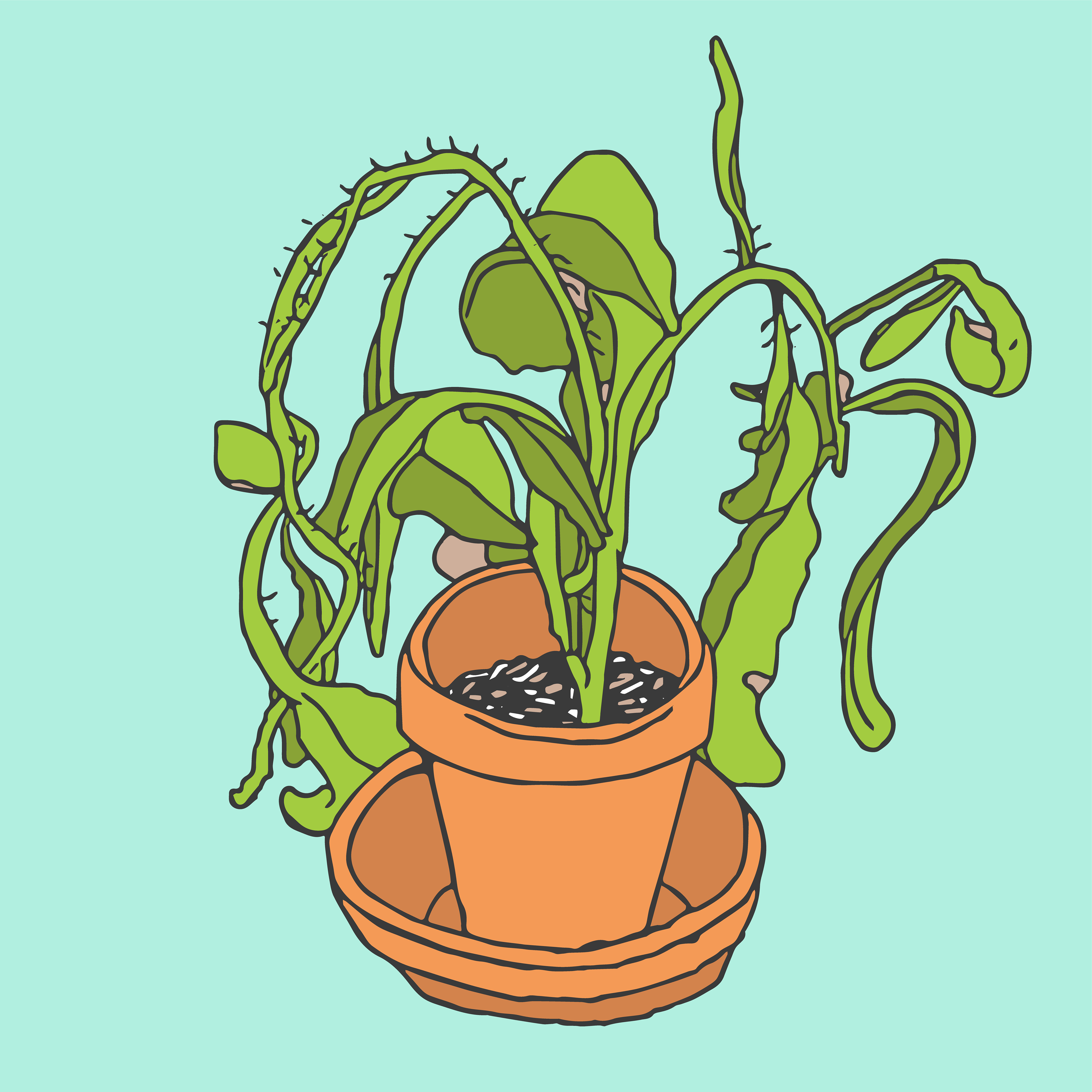 Day 4/14: