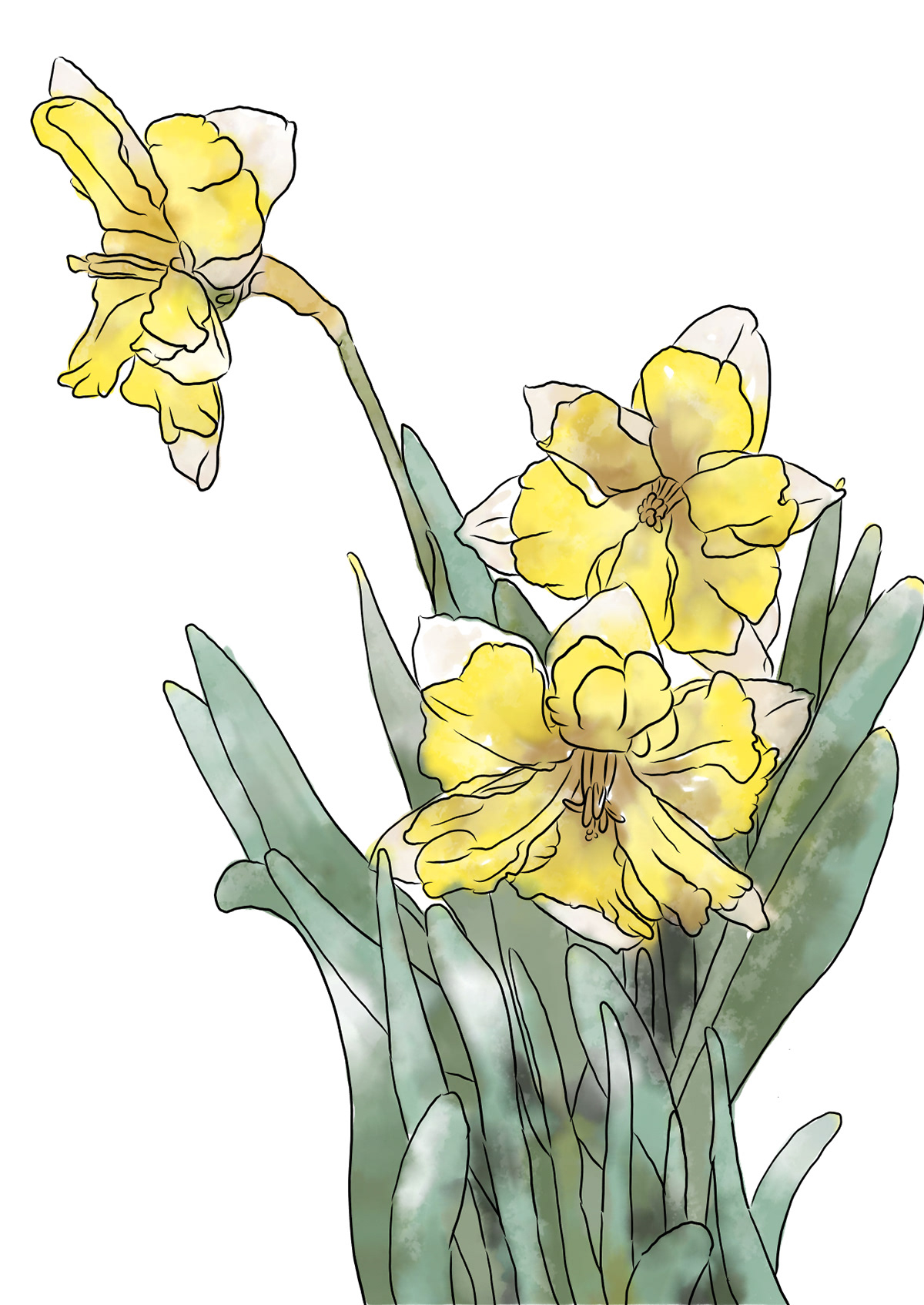 Spring Flower 01