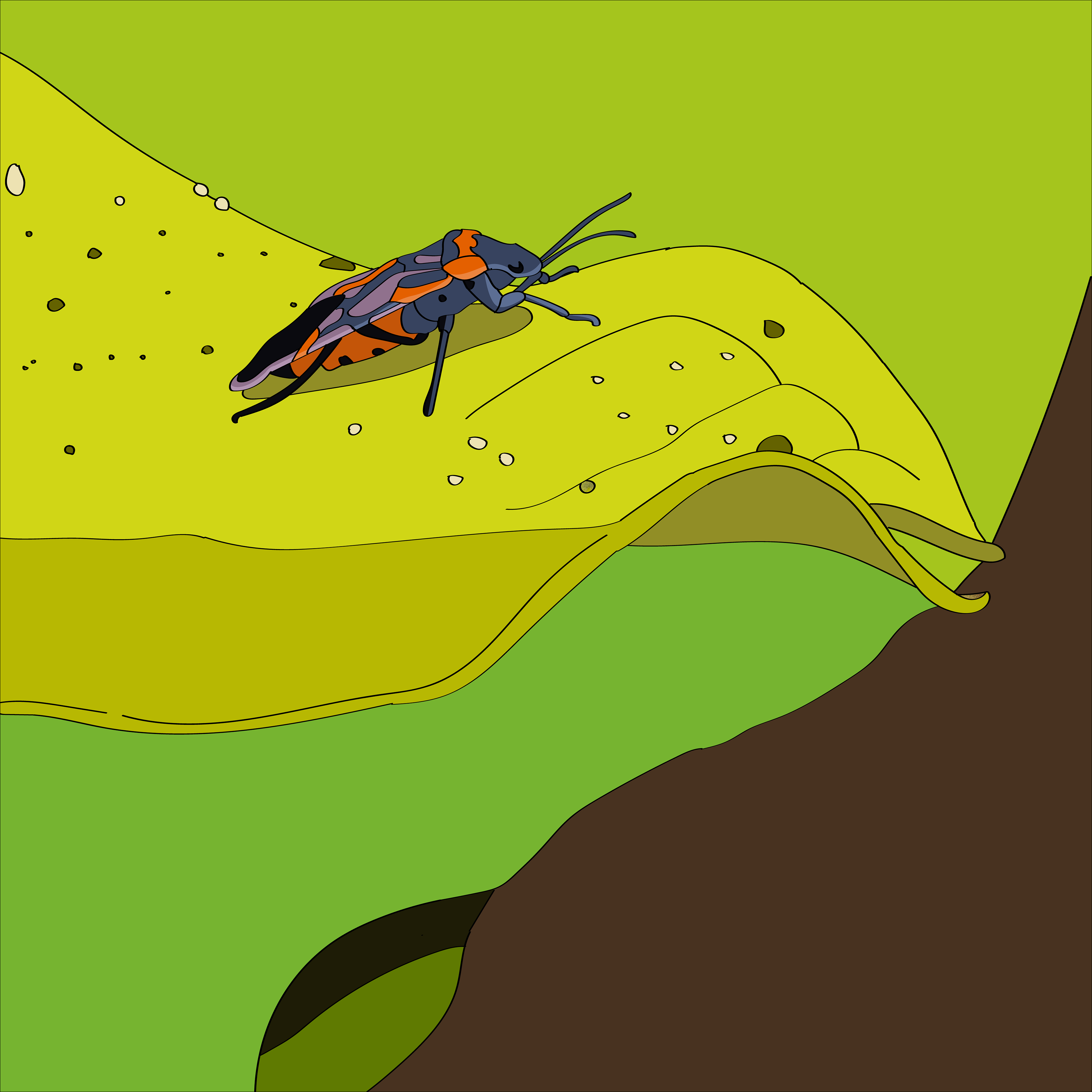 Day 4: Accent Color, a bug I saw last fall