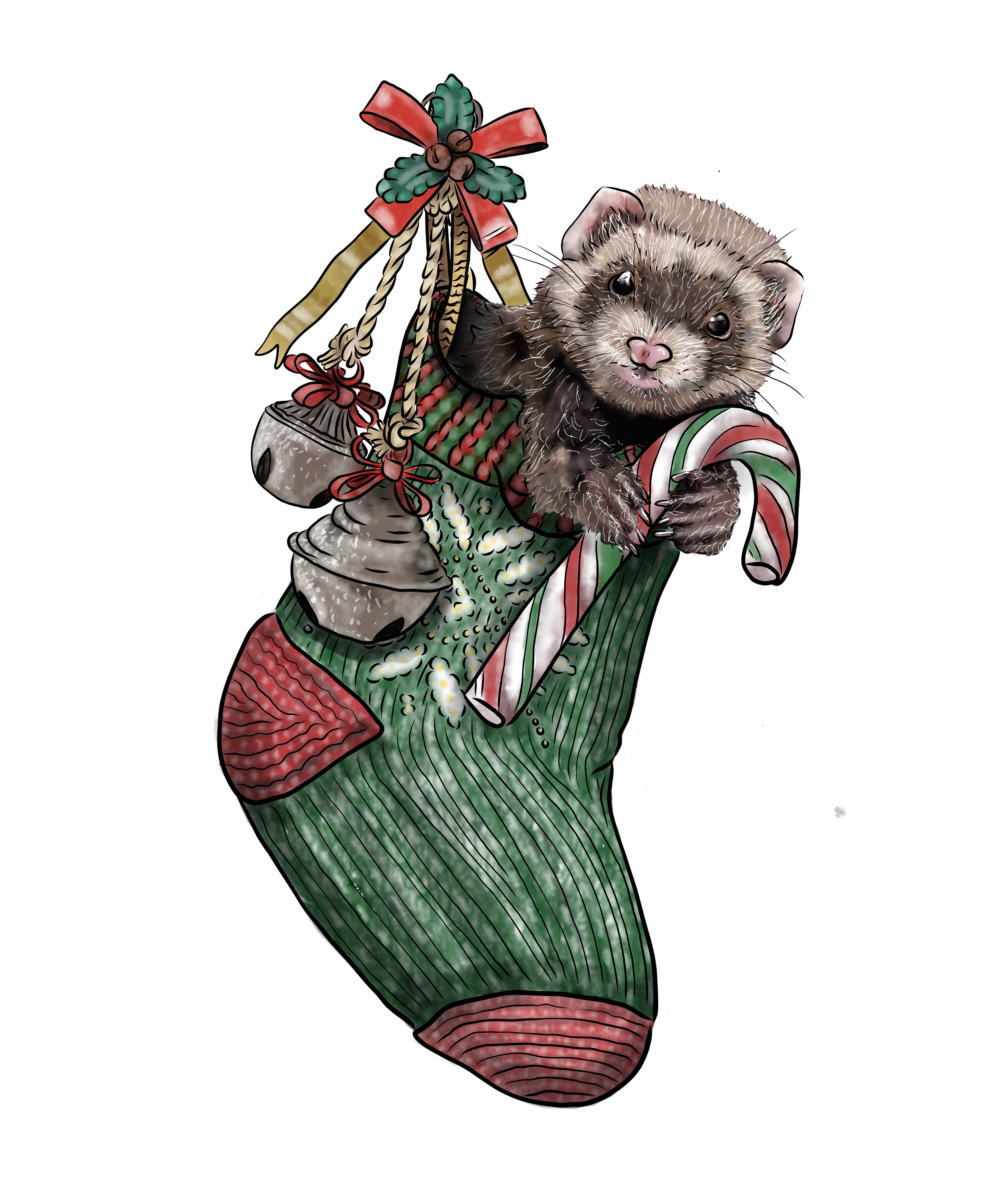 Fine Ferret