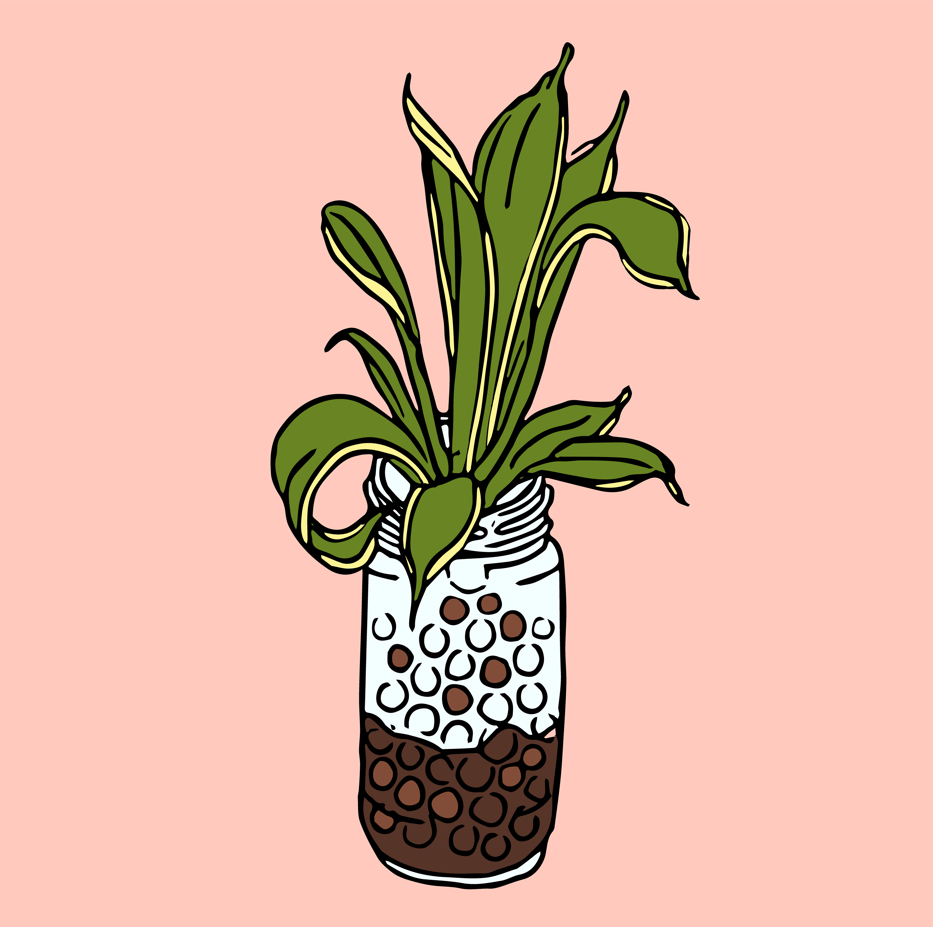 Day 6/14: small plant living in water