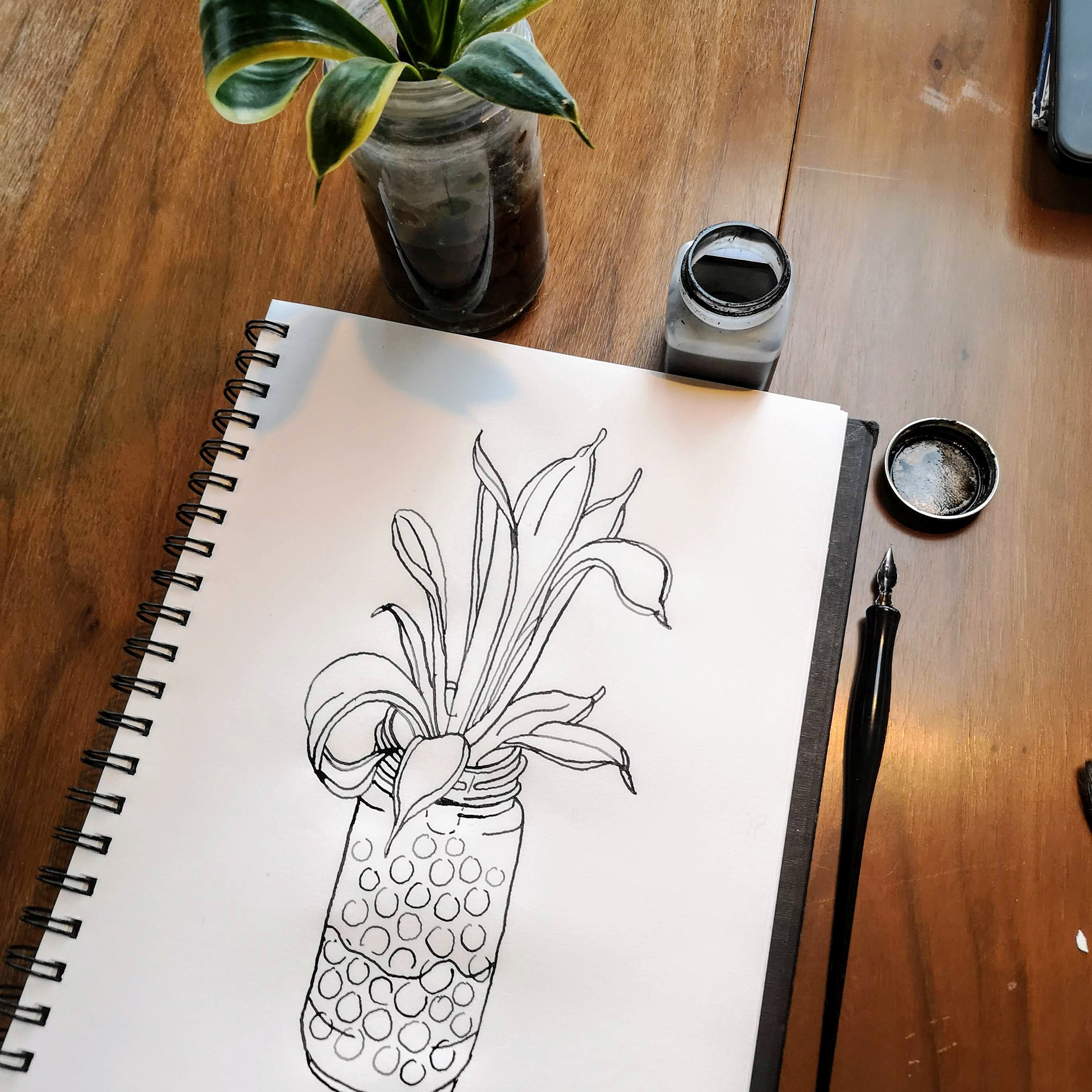 Day 6/14: small plant living in water
