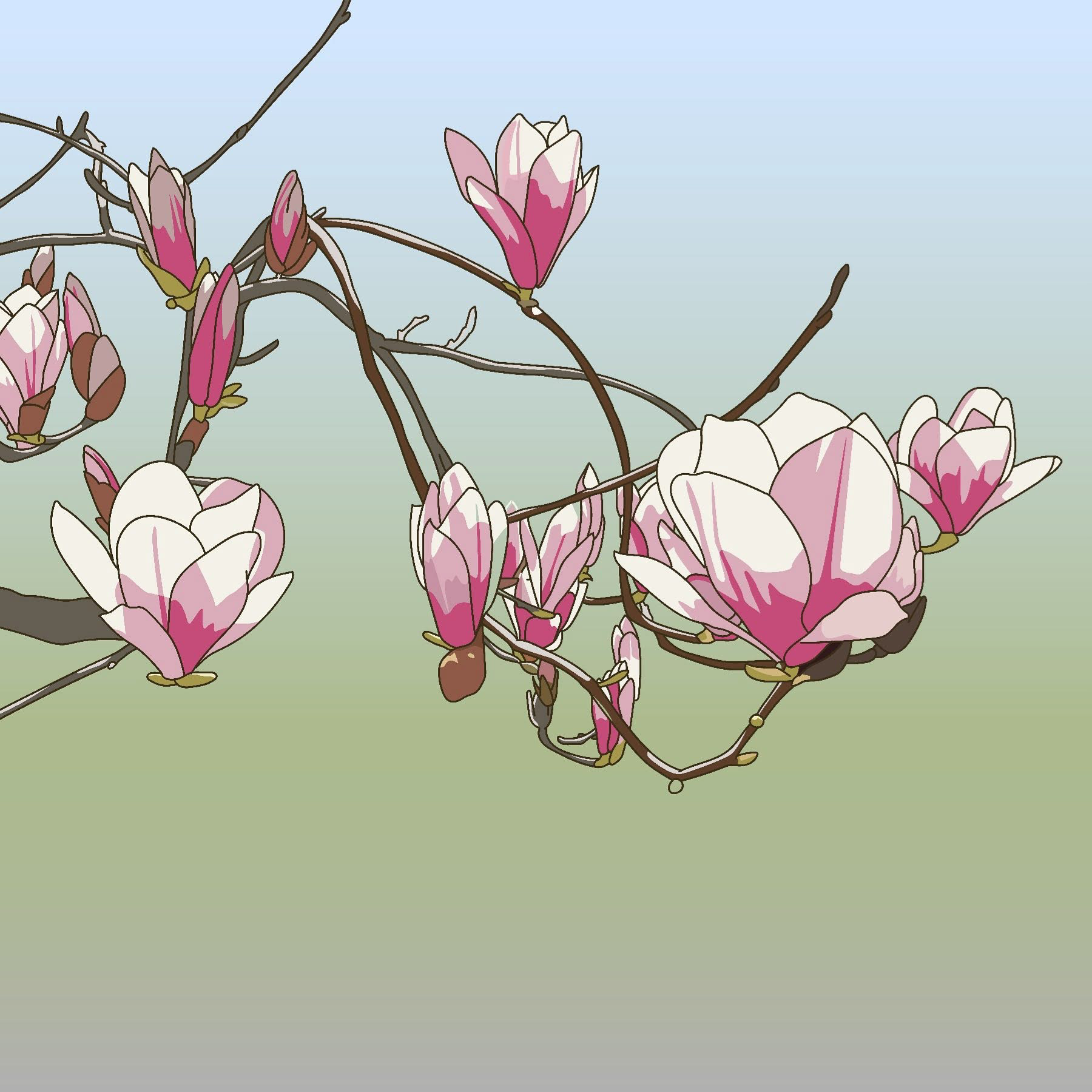 Day 21: Thirty Minute Study