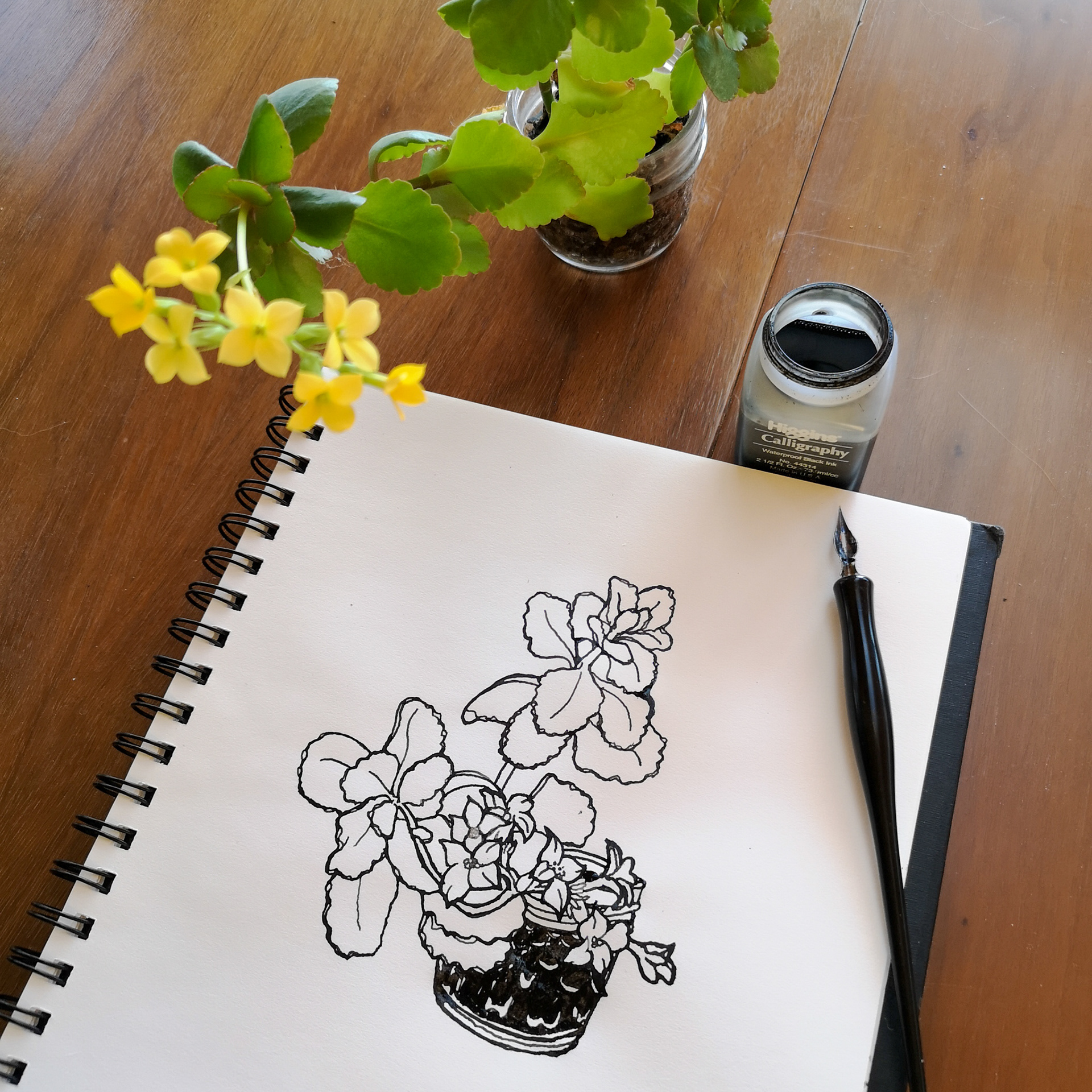 Day 1/14