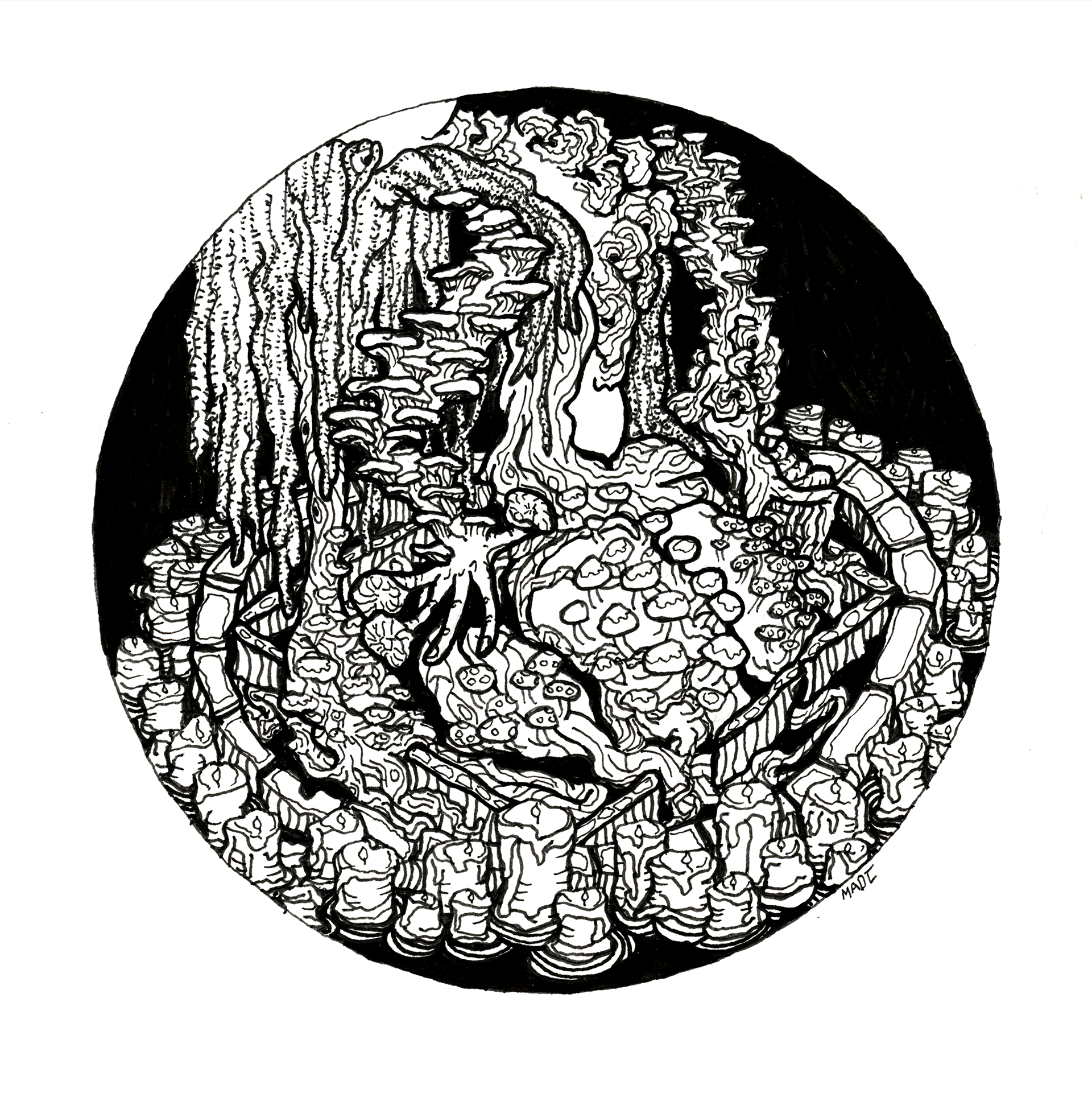 Poisonous + Witch = "indefinite commune'' careful of getting too cosy with the forest spirits, they tend to change a person. (6 1/16” x 7 13/16”)