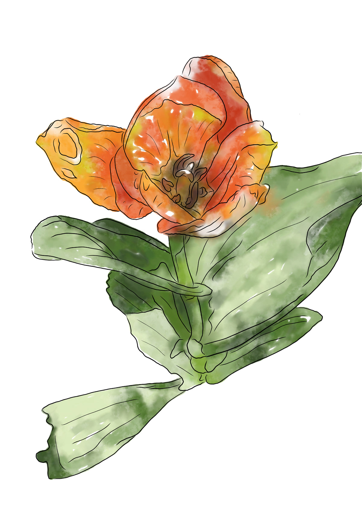 Spring Flower 12