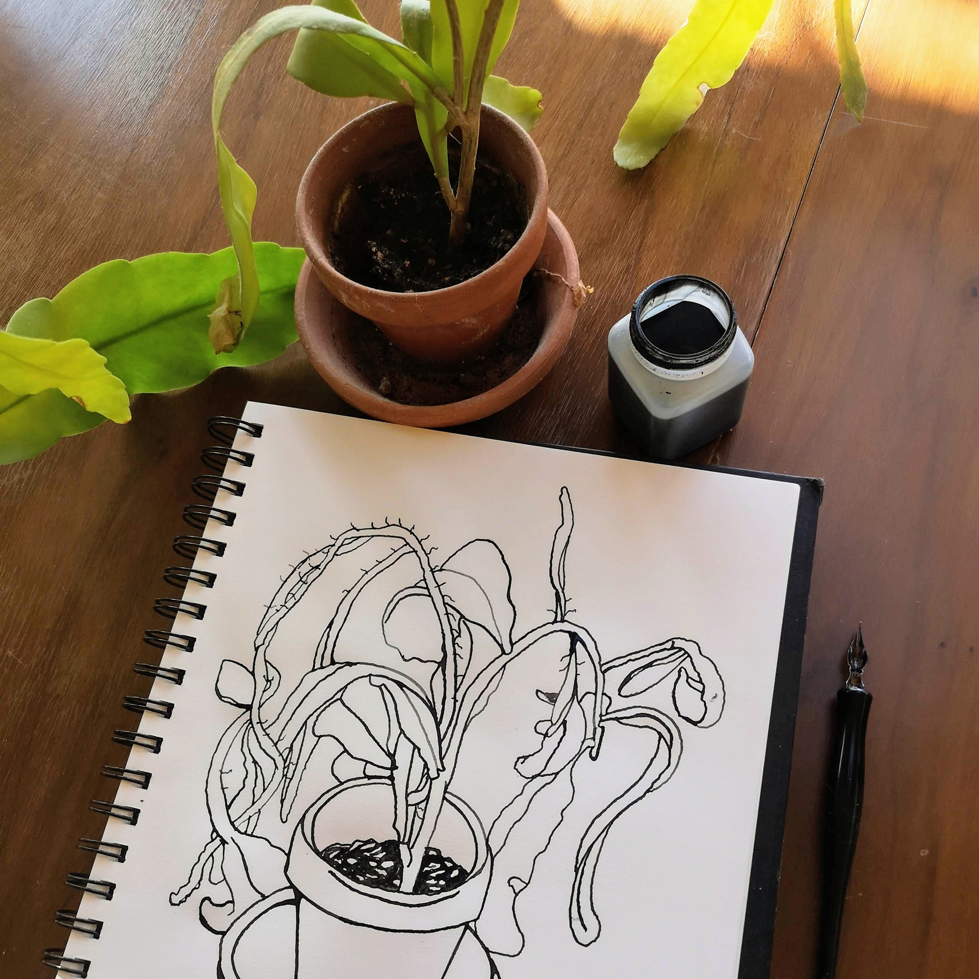 Day 4/14: